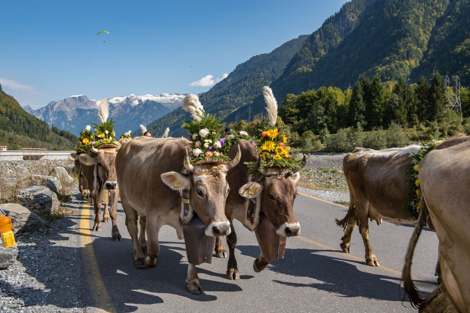 Nikon D750 sample photo. Alpine, désalpe, descent photography
