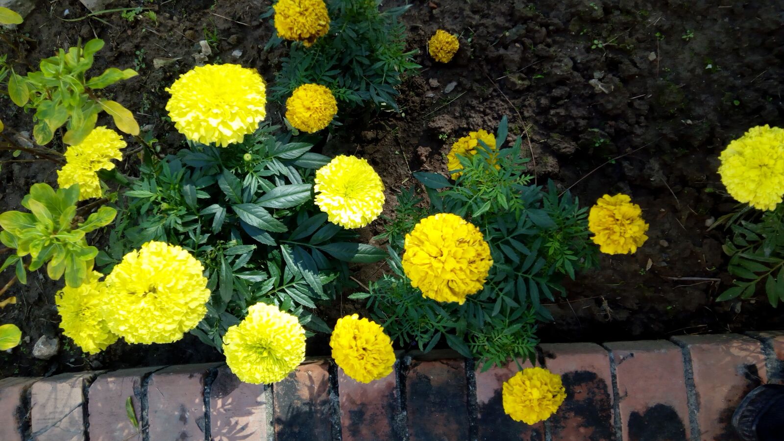 Infinix HOT 4 sample photo. Nature, photography, love photography