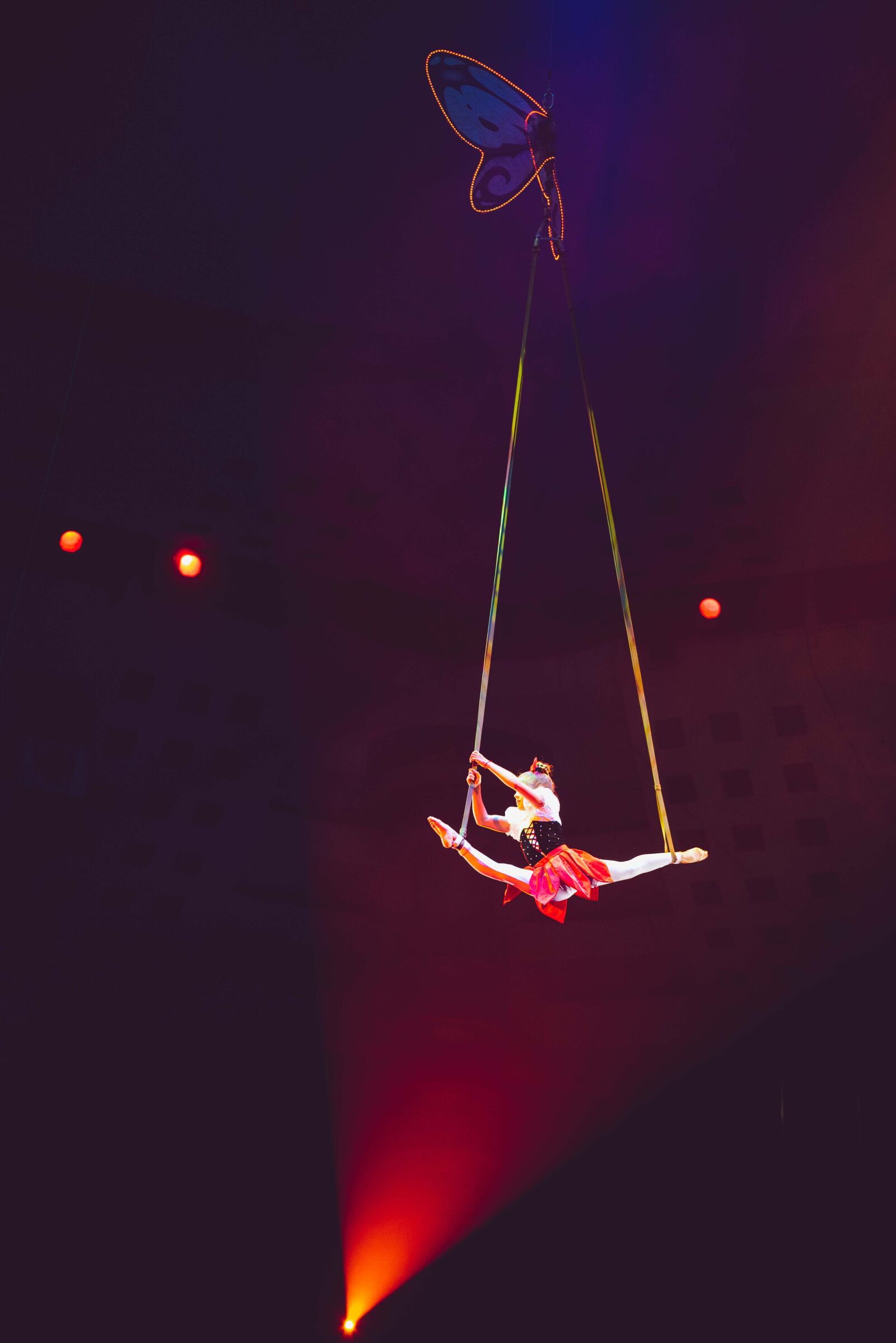 Nikon D750 sample photo. Circus, light, acrobat photography