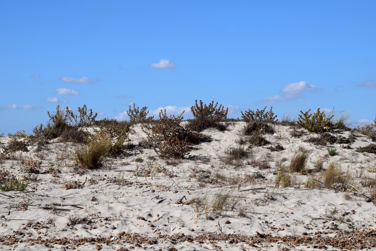 Nikon D3300 sample photo. Dune, sand, beach photography