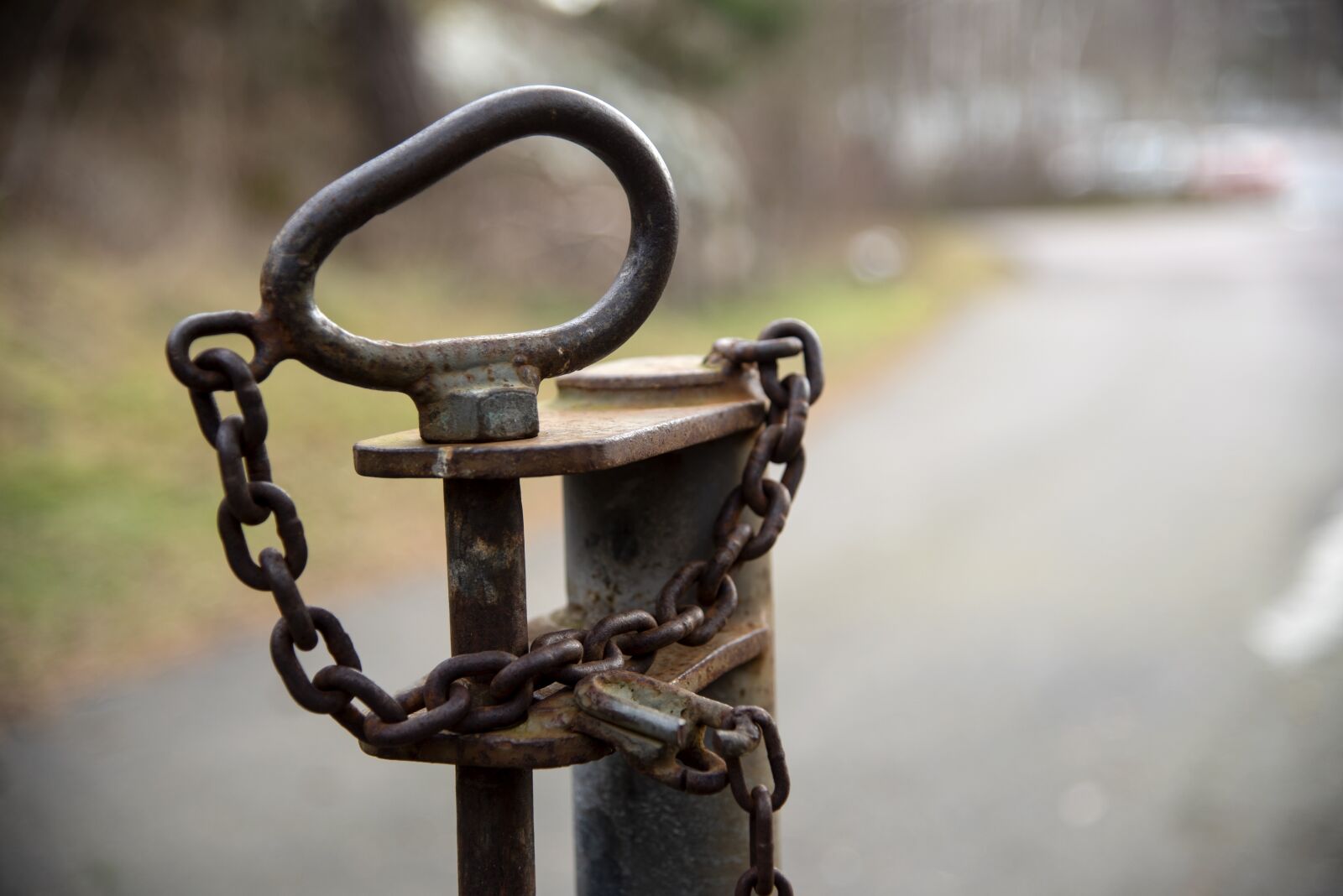 Nikon D750 sample photo. Metal, rust, loop photography