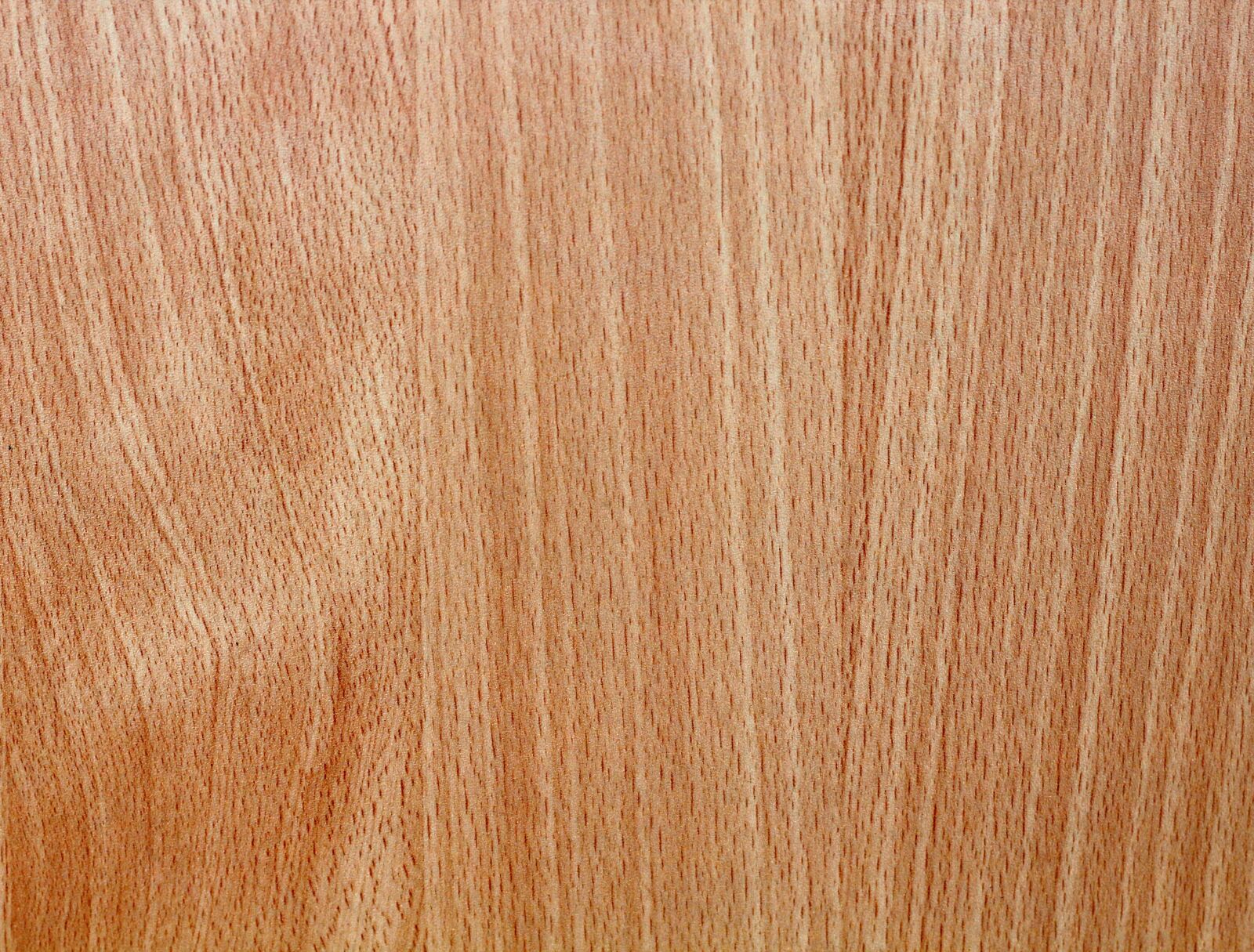 Canon EOS 600D (Rebel EOS T3i / EOS Kiss X5) + Canon EF 50mm F1.8 II sample photo. Wood, timber, grain photography
