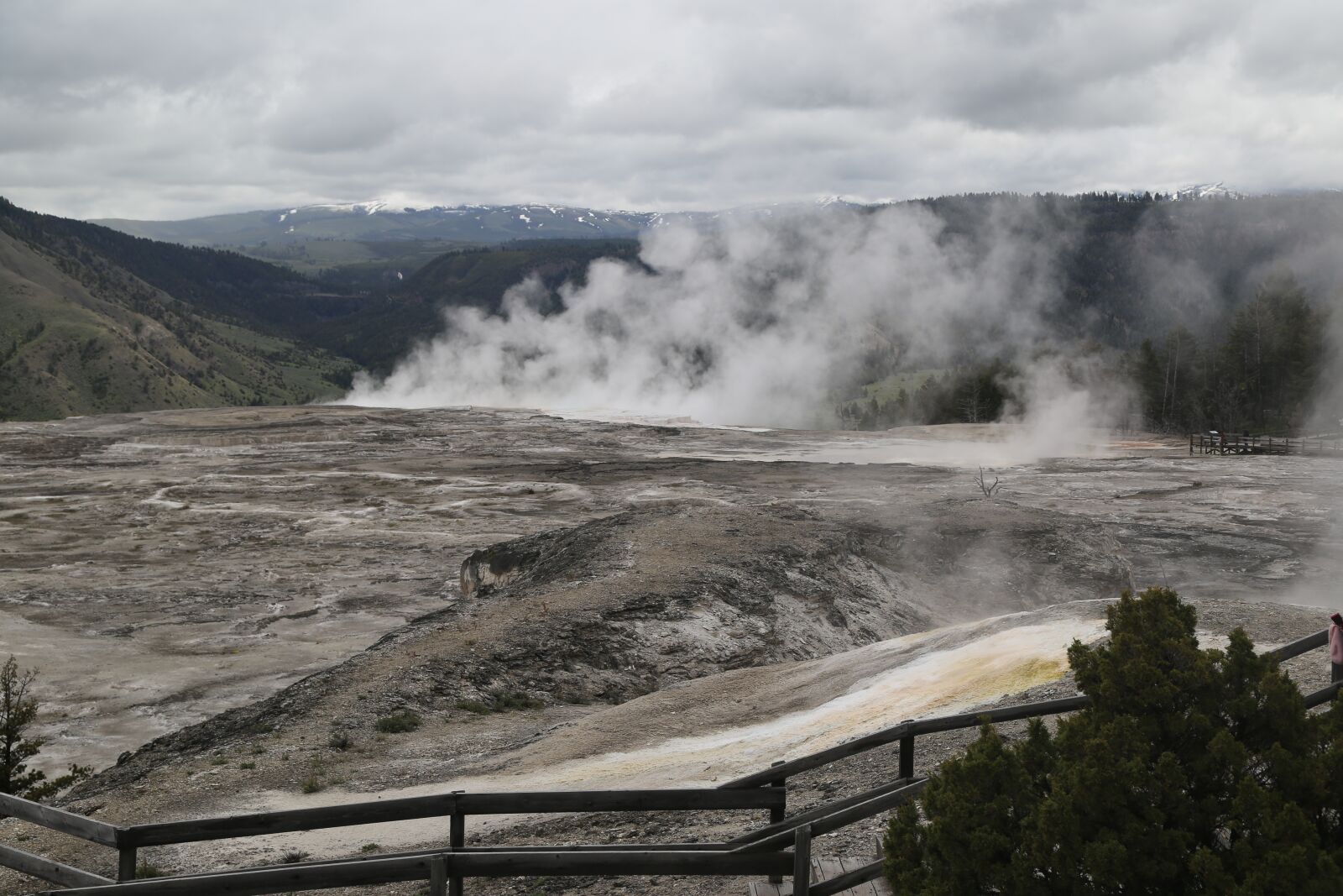 Canon EOS 6D + Canon EF 24-105mm F4L IS USM sample photo. Yellowstone national park, the photography