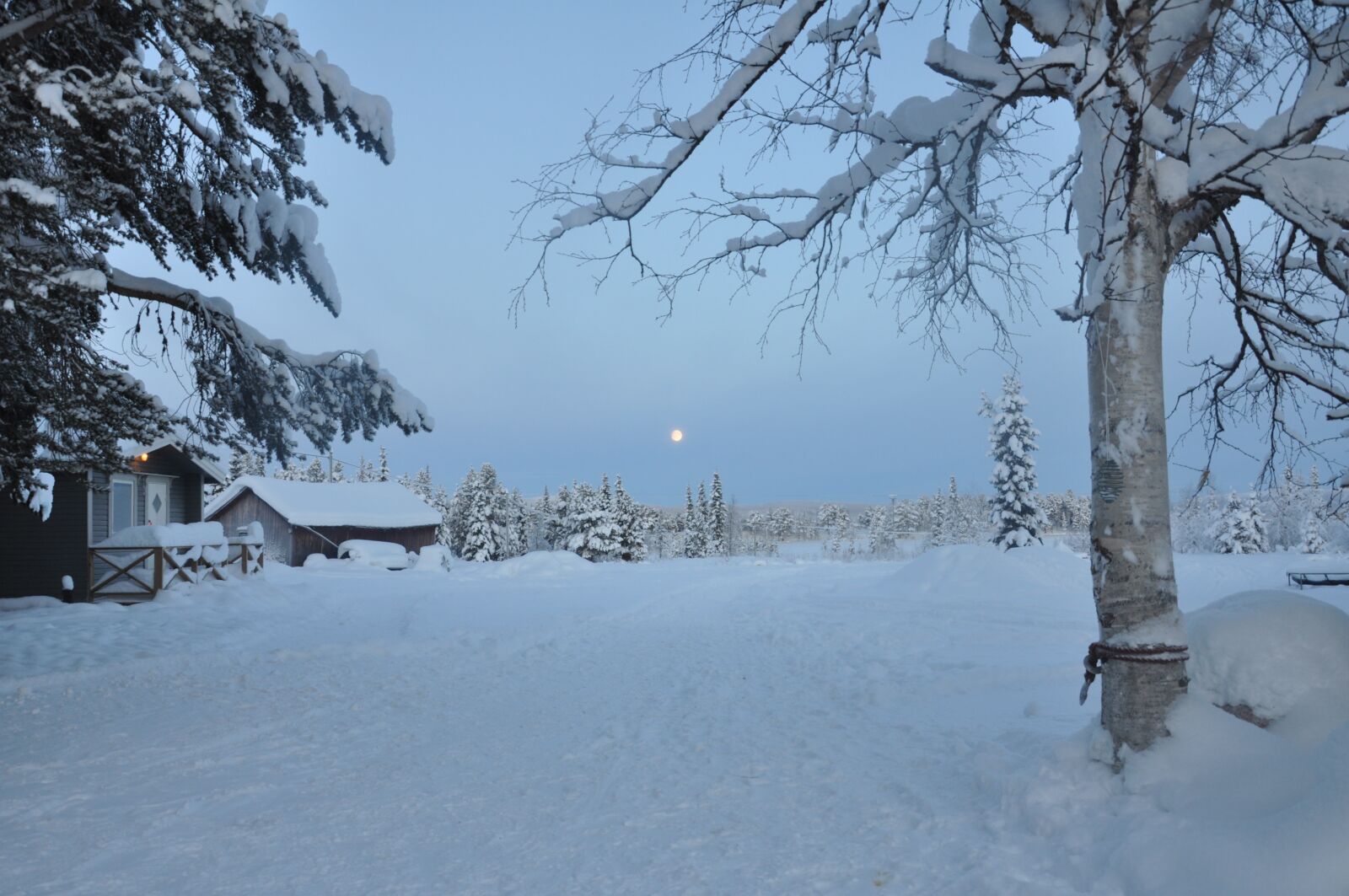 Nikon D90 sample photo. Sweden, sverige, winter photography