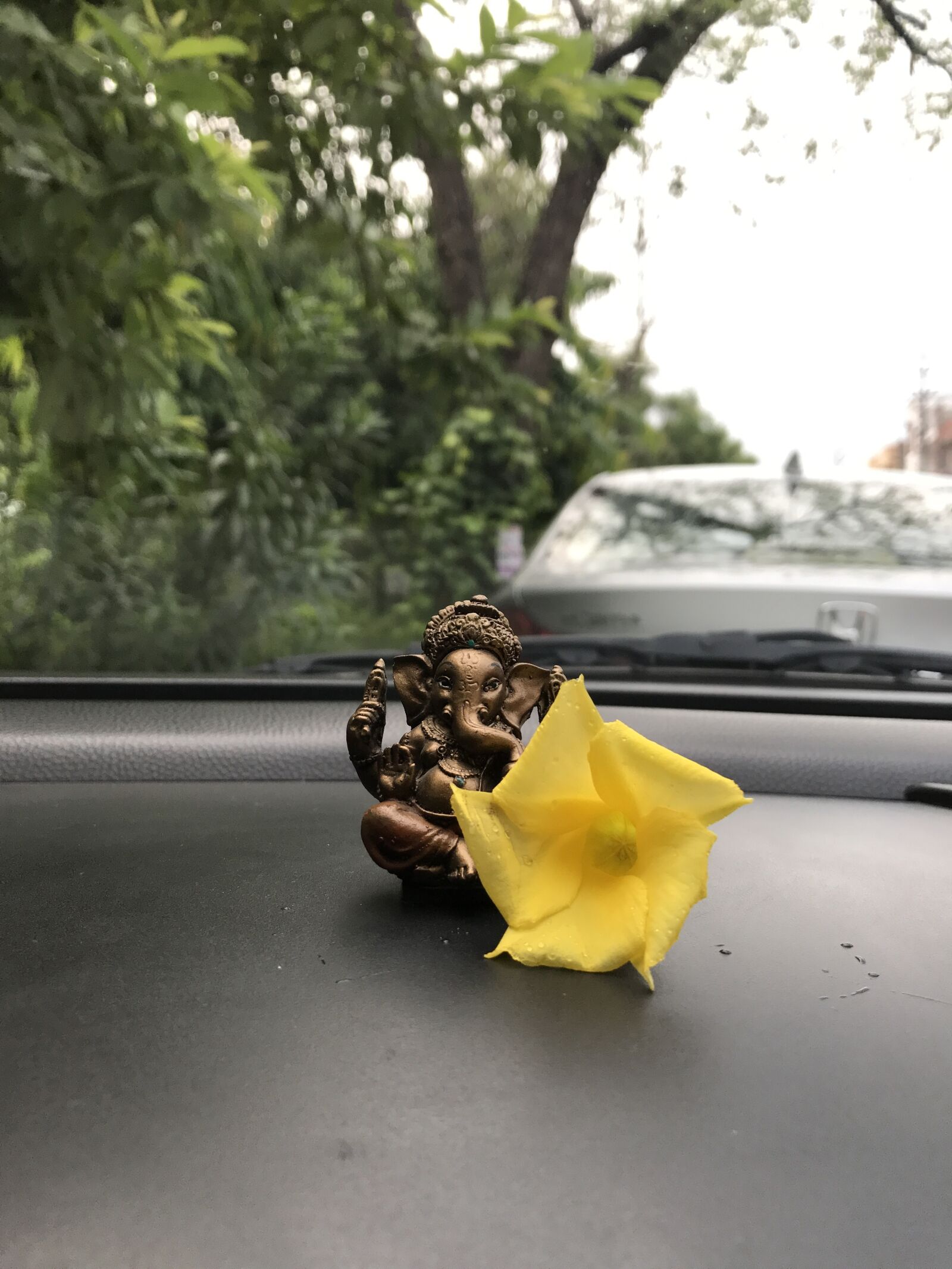 iPhone 7 back camera 3.99mm f/1.8 sample photo. Ganesh, ganesh, ji, ganesh photography