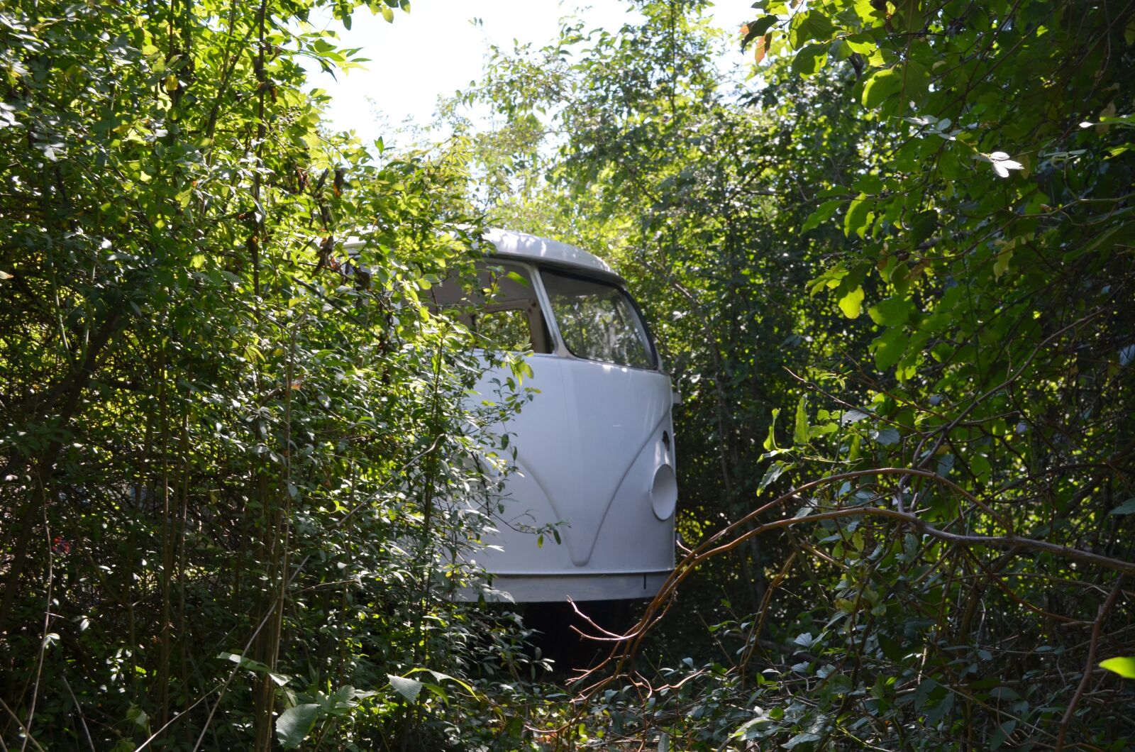 Nikon D5100 sample photo. Volkswagen, vw, auto photography