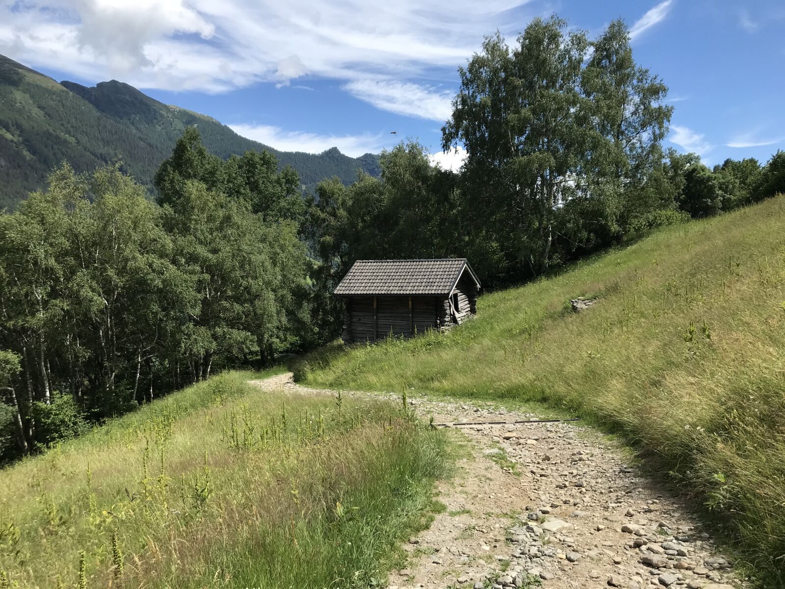 iPhone 7 back camera 3.99mm f/1.8 sample photo. Towards landarenca, alpine route photography