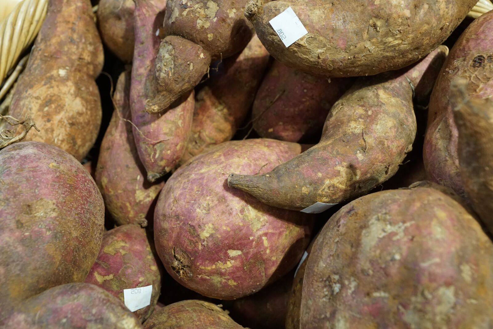 Sony ILCA-77M2 + Sony DT 16-50mm F2.8 SSM sample photo. Potatoes, eat, market photography