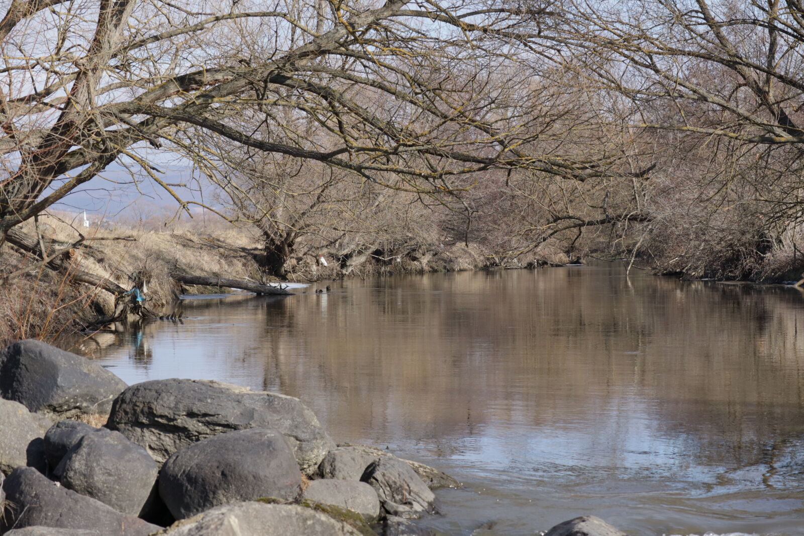 Canon EOS M50 (EOS Kiss M) sample photo