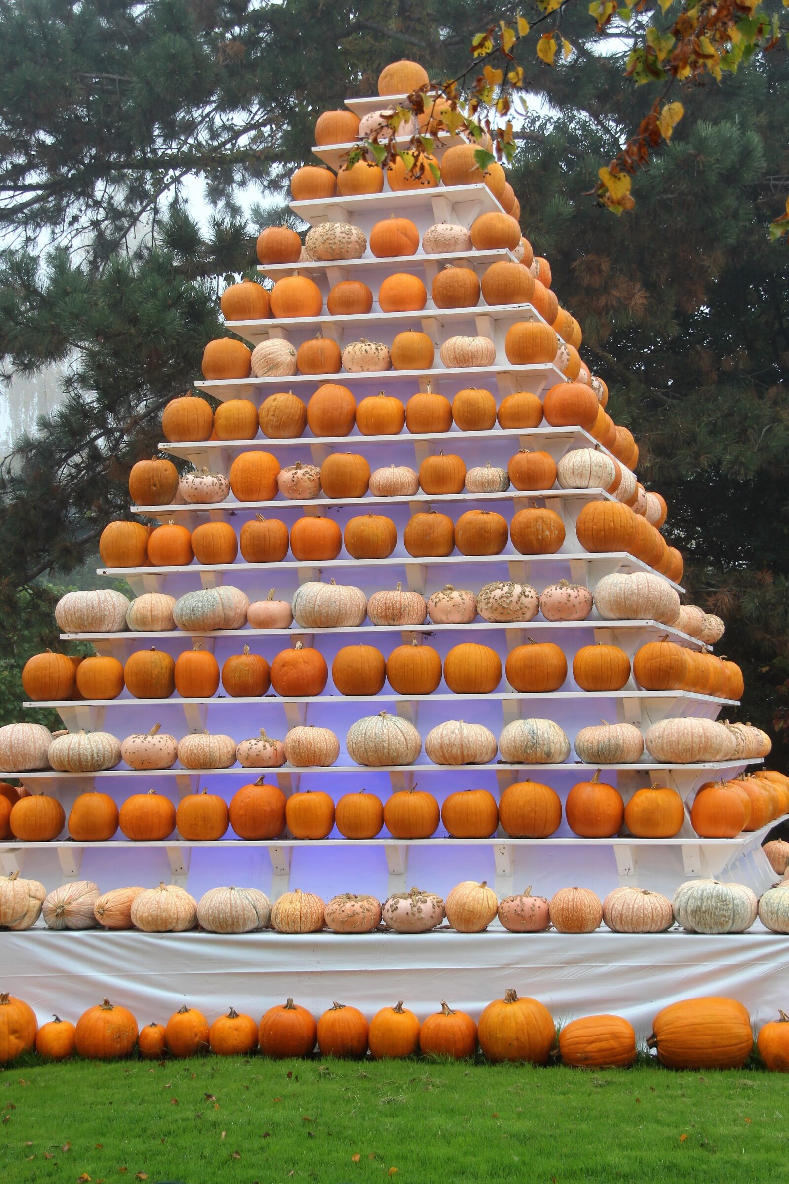 Canon EOS 600D (Rebel EOS T3i / EOS Kiss X5) sample photo. Autumn, pyramid, pumpkin photography