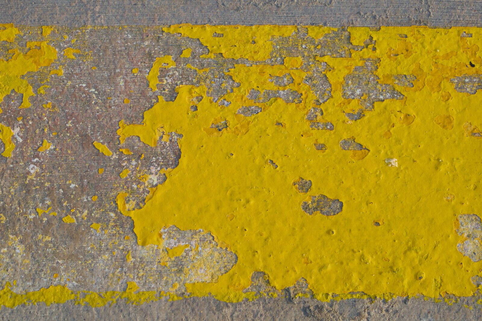 Sony a7R II sample photo. Ground, street, msn letters photography