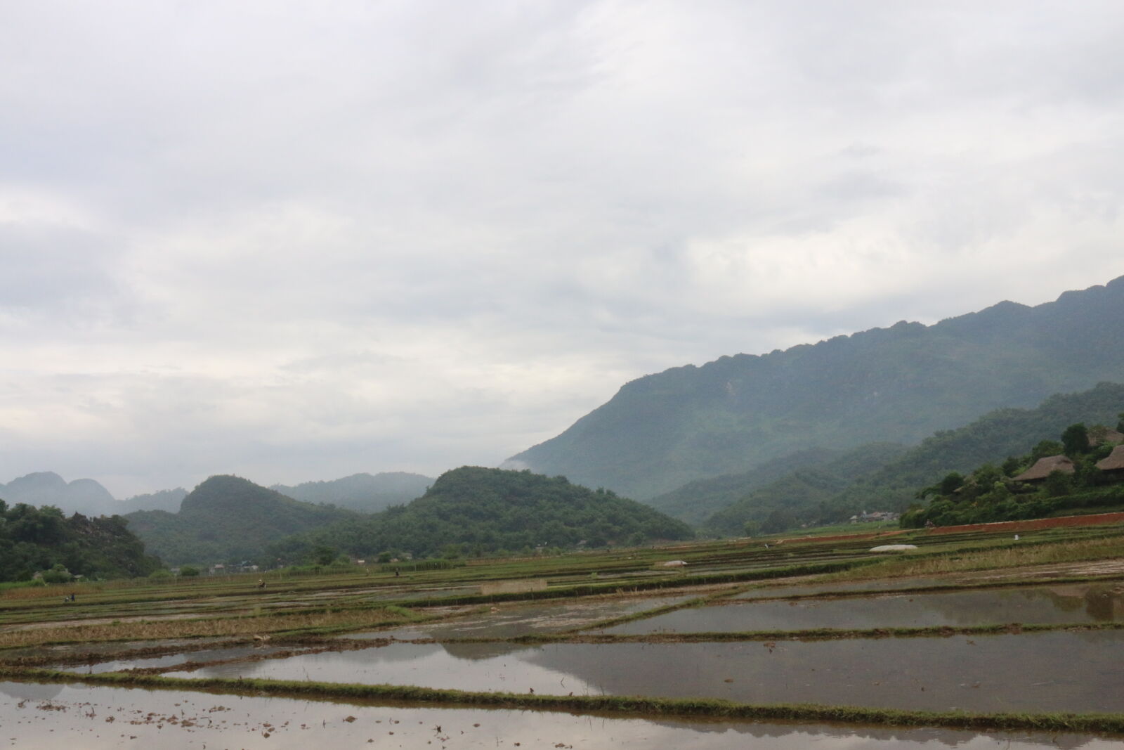 Canon EOS 70D sample photo