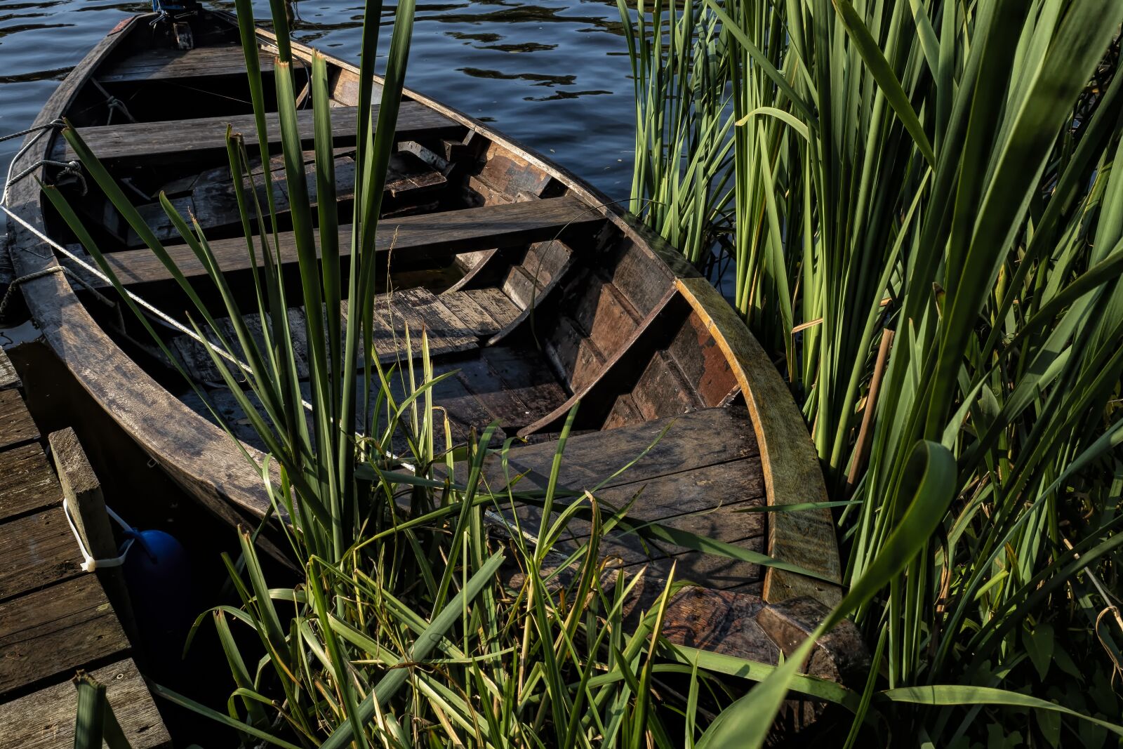 Olympus OM-D E-M5 II + Olympus M.Zuiko Digital ED 12-40mm F2.8 Pro sample photo. Wooden boat, boat, water photography
