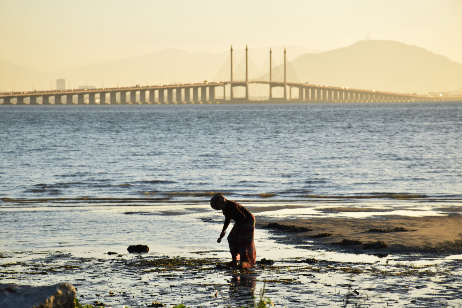 Nikon D5300 sample photo. Beach, bridge, malaysia, penang photography
