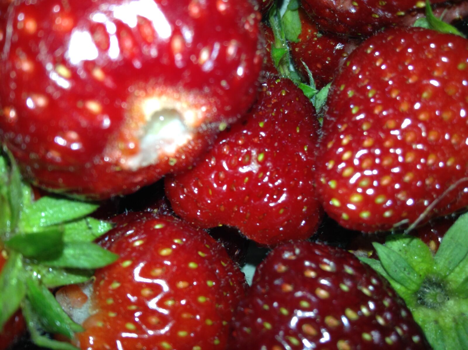 Apple iPod touch sample photo. Berry, fruit, strawberries photography