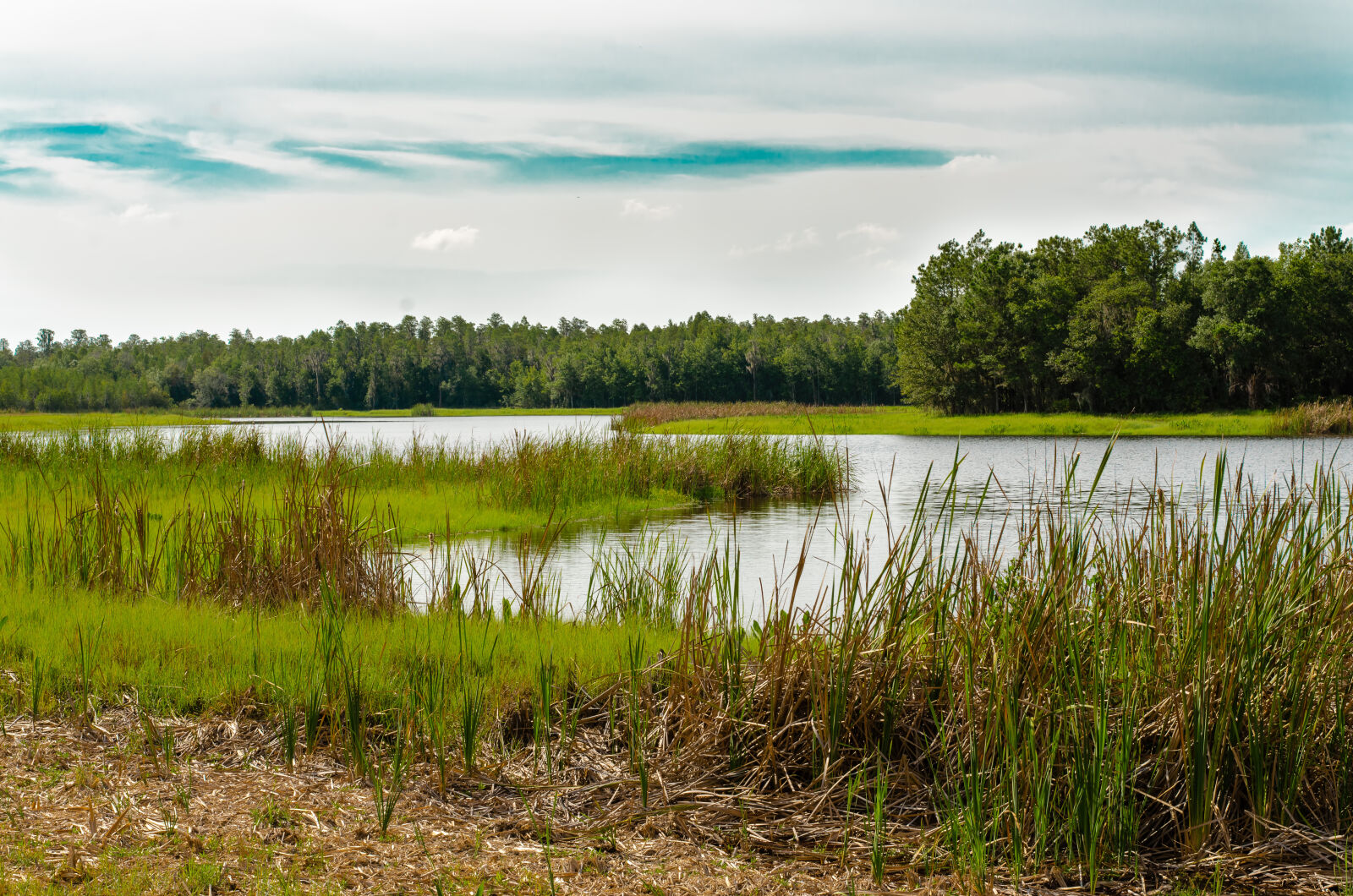 Nikon D7000 sample photo. Dark, sky, grass, nature photography