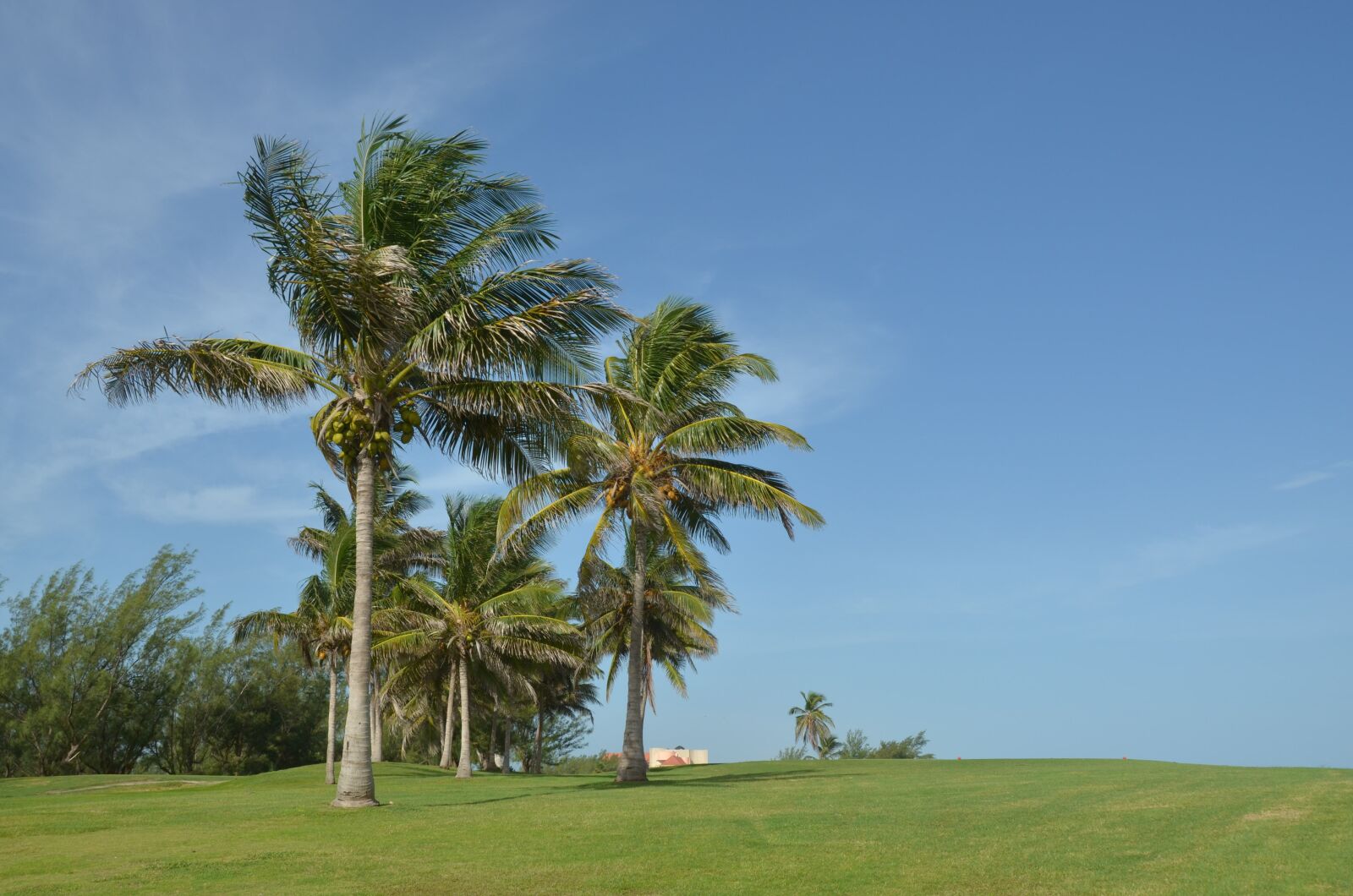 Nikon D5100 sample photo. Cuba, vacation, in july photography