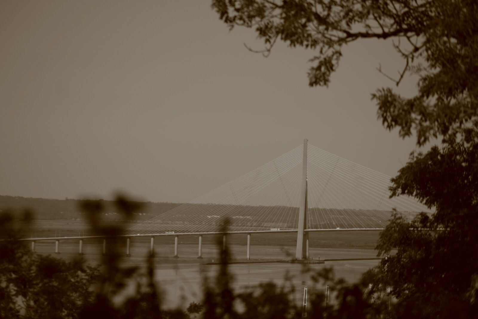 Canon EOS 400D (EOS Digital Rebel XTi / EOS Kiss Digital X) sample photo. Bridge, sky, trees photography