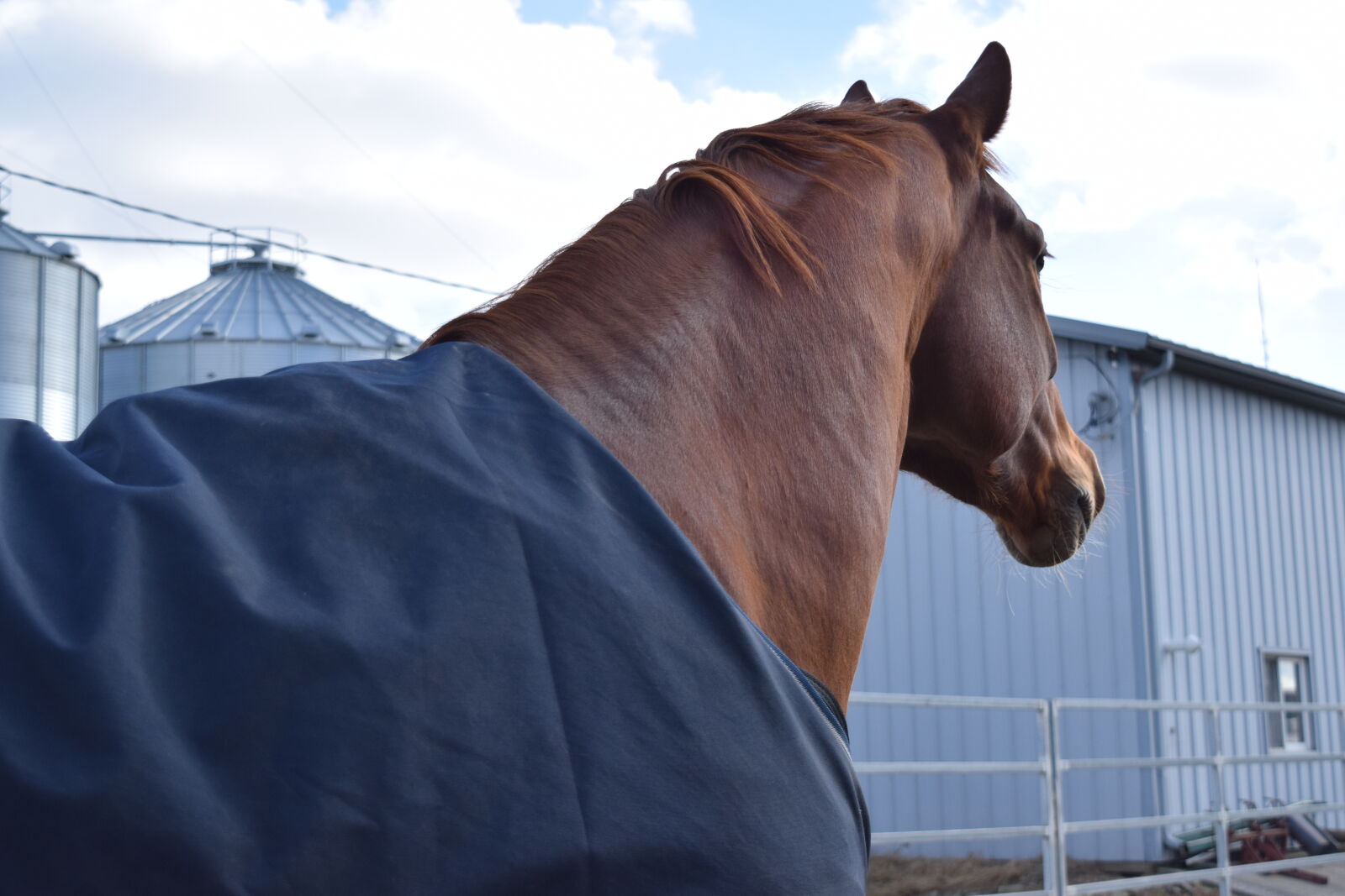 Nikon D3300 sample photo