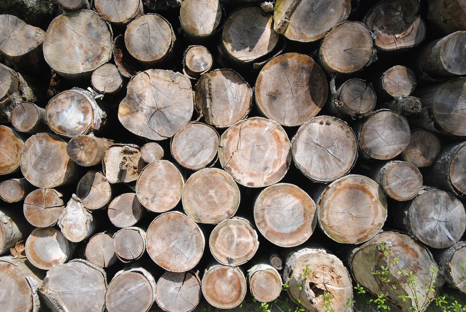 Nikon D3000 sample photo. Holzstapel, wooden wall, wood photography