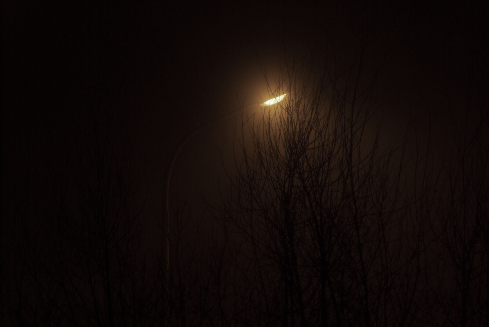 Nikon D60 sample photo. Fog, lamp, street photography