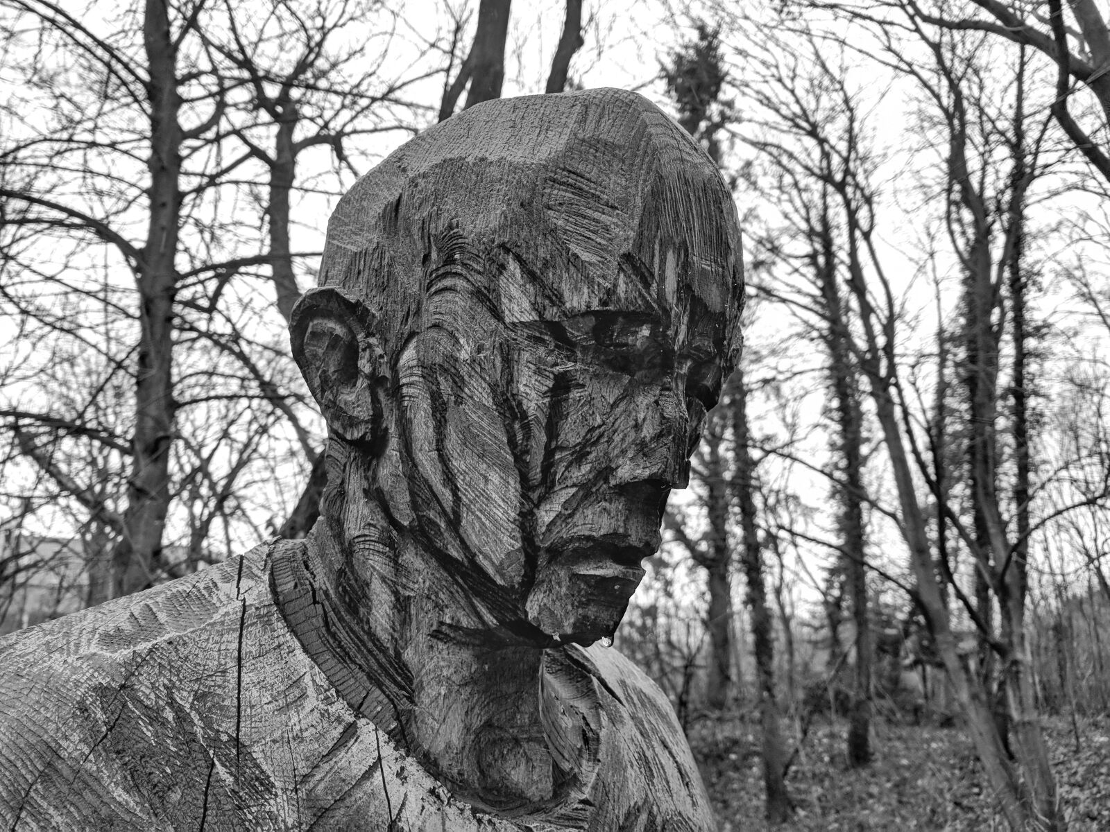 Google Pixel sample photo. Face, forest, wood carving photography