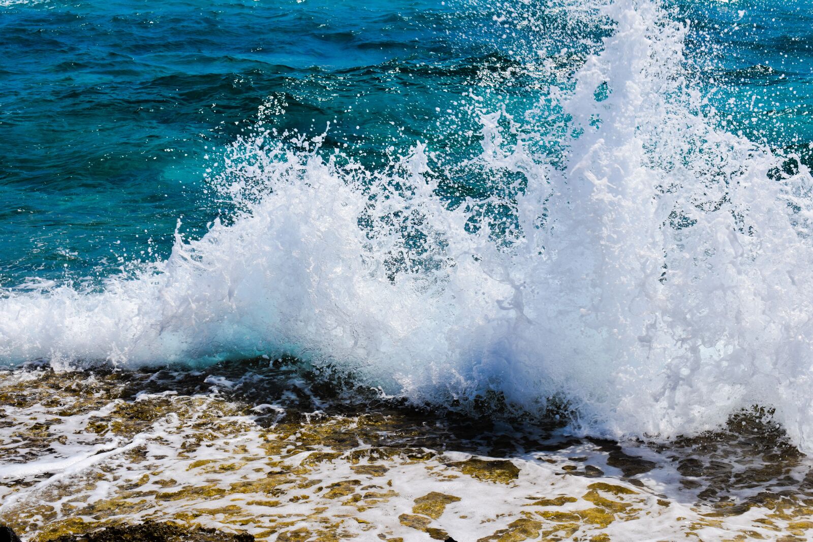 Nikon D3300 sample photo. Spray, foam, drops photography