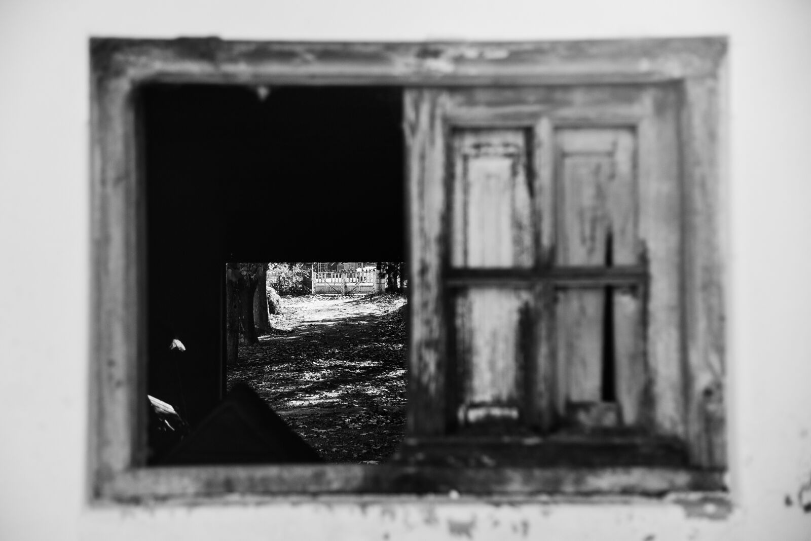 Nikon D750 sample photo. Black white, window, old photography