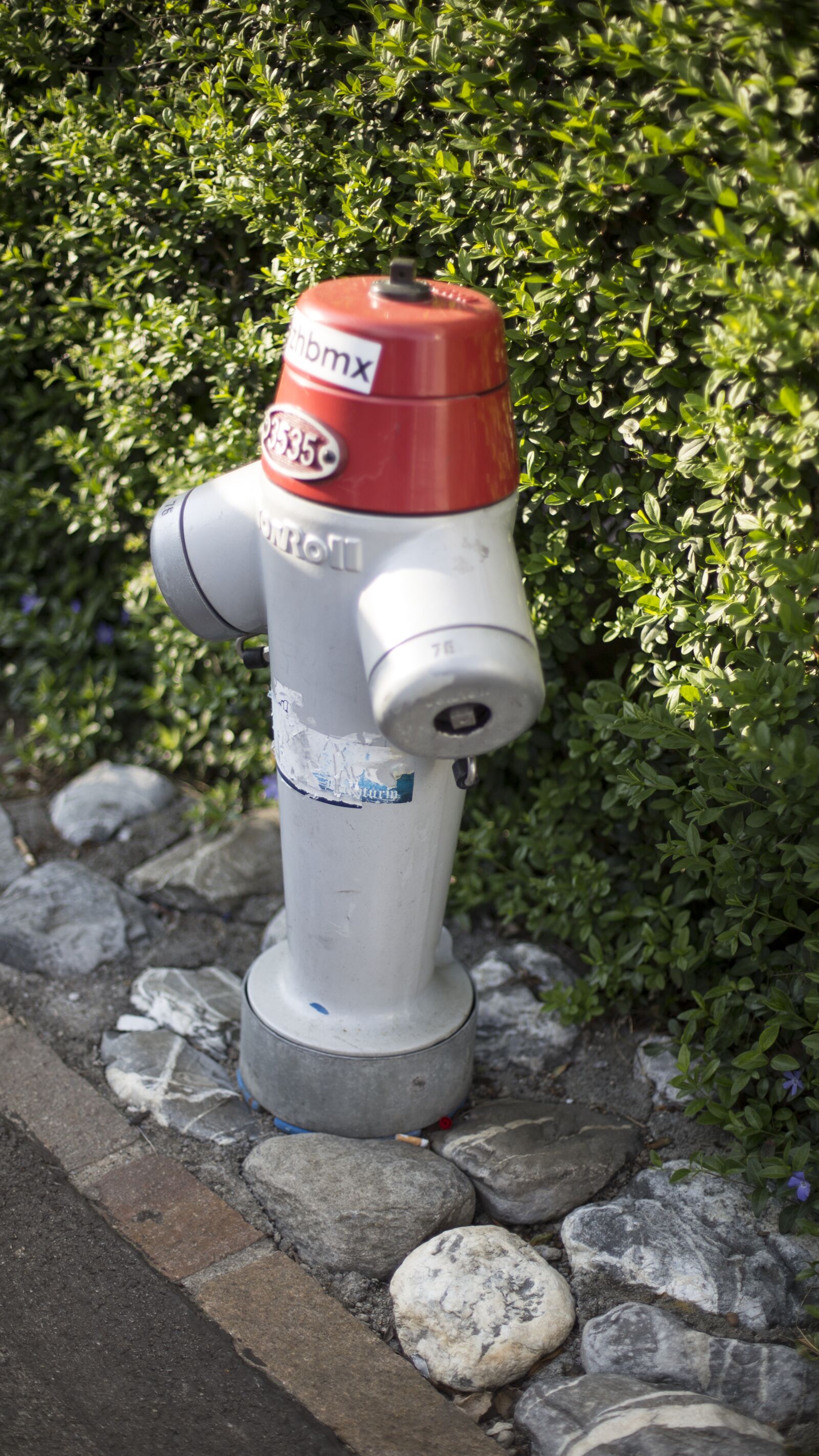 Canon EOS 6D + Canon EF 50mm F1.4 USM sample photo. Fireplug, swiss photography