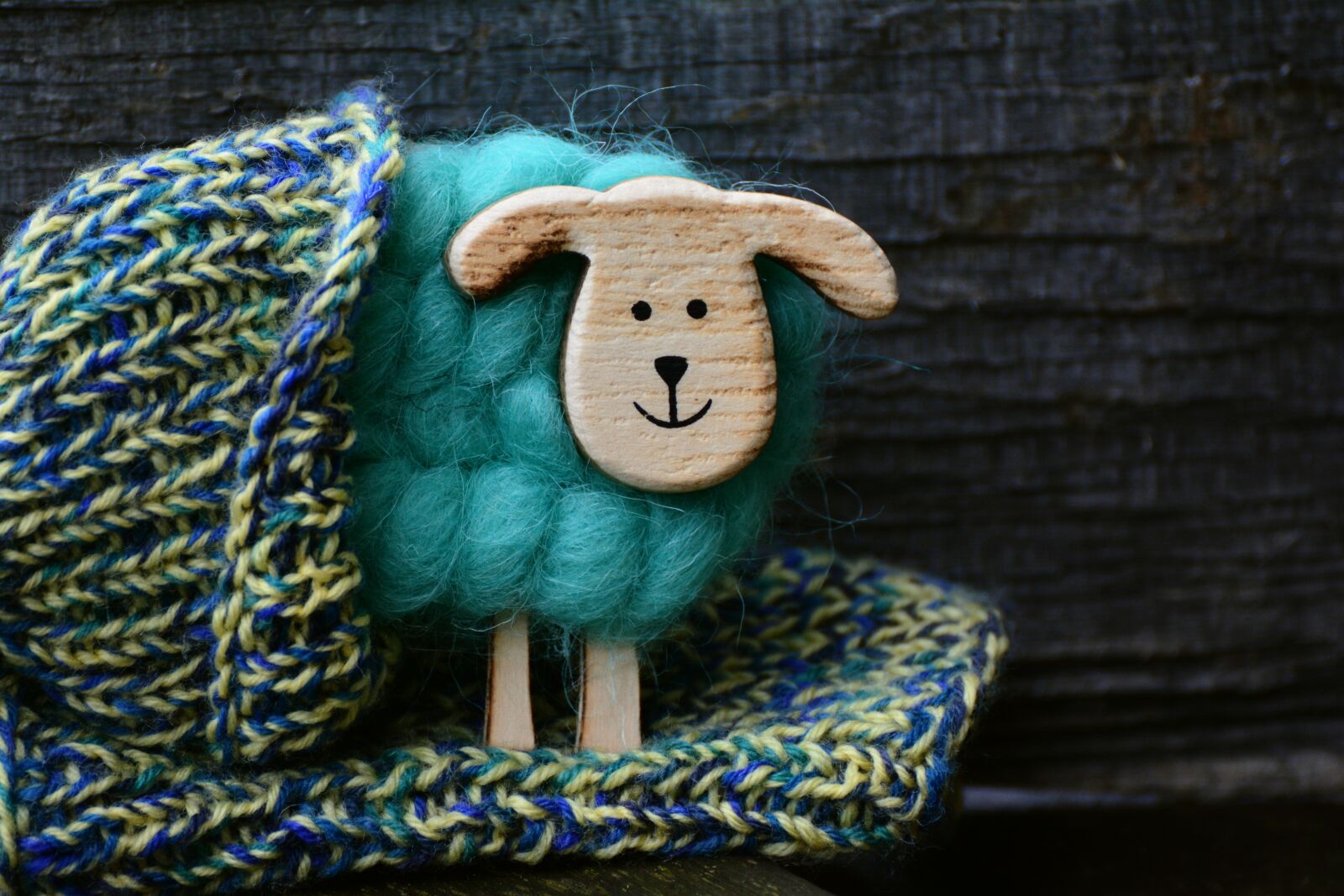 Nikon D5200 sample photo. Sheep, wool, knit photography