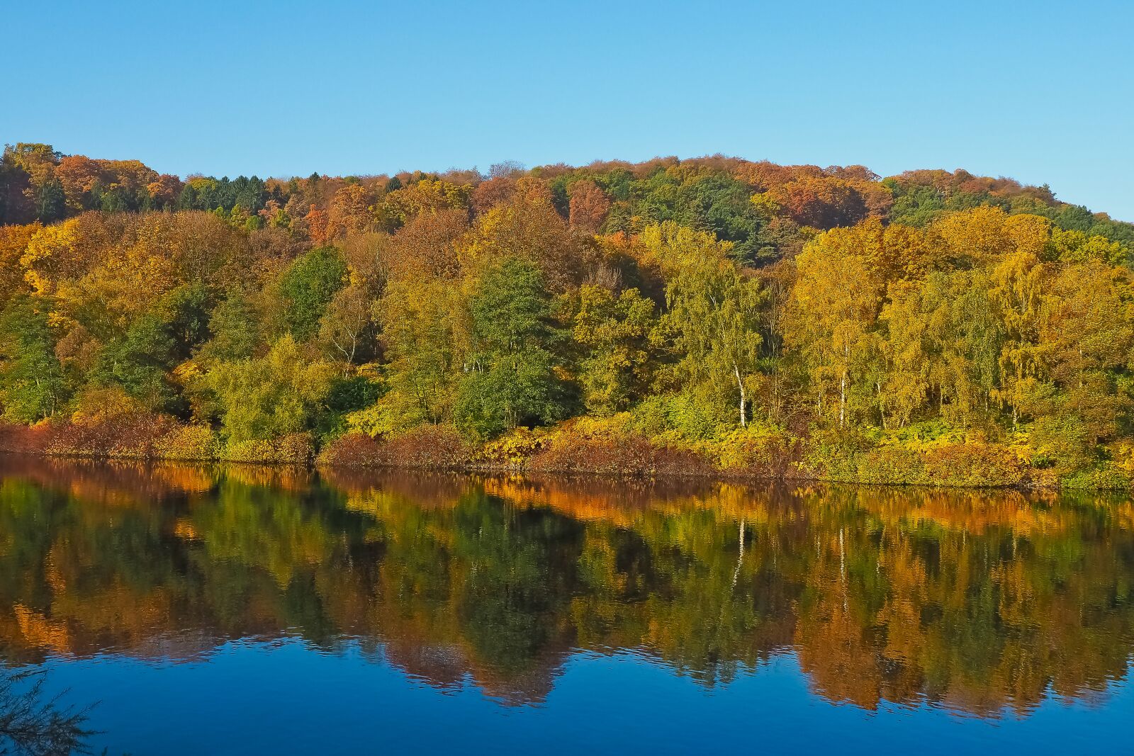 Olympus OM-D E-M10 sample photo. Lake, autumn, nature photography
