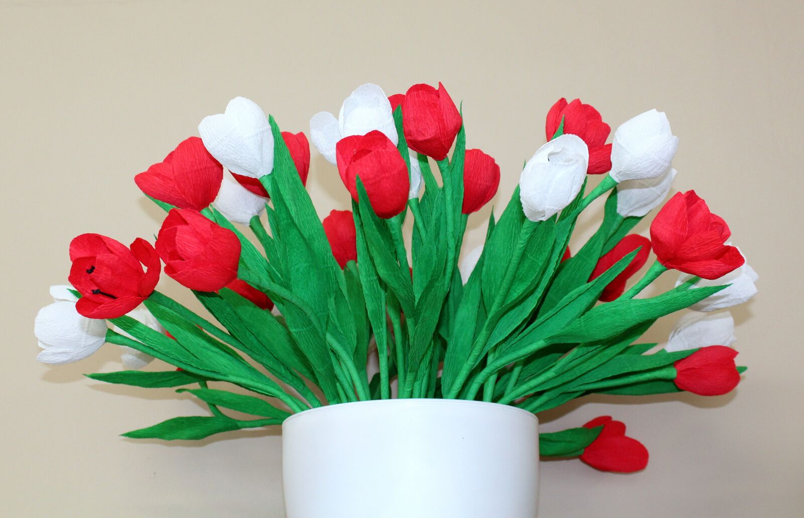 Canon EOS 1200D (EOS Rebel T5 / EOS Kiss X70 / EOS Hi) sample photo. White - red, flowers photography