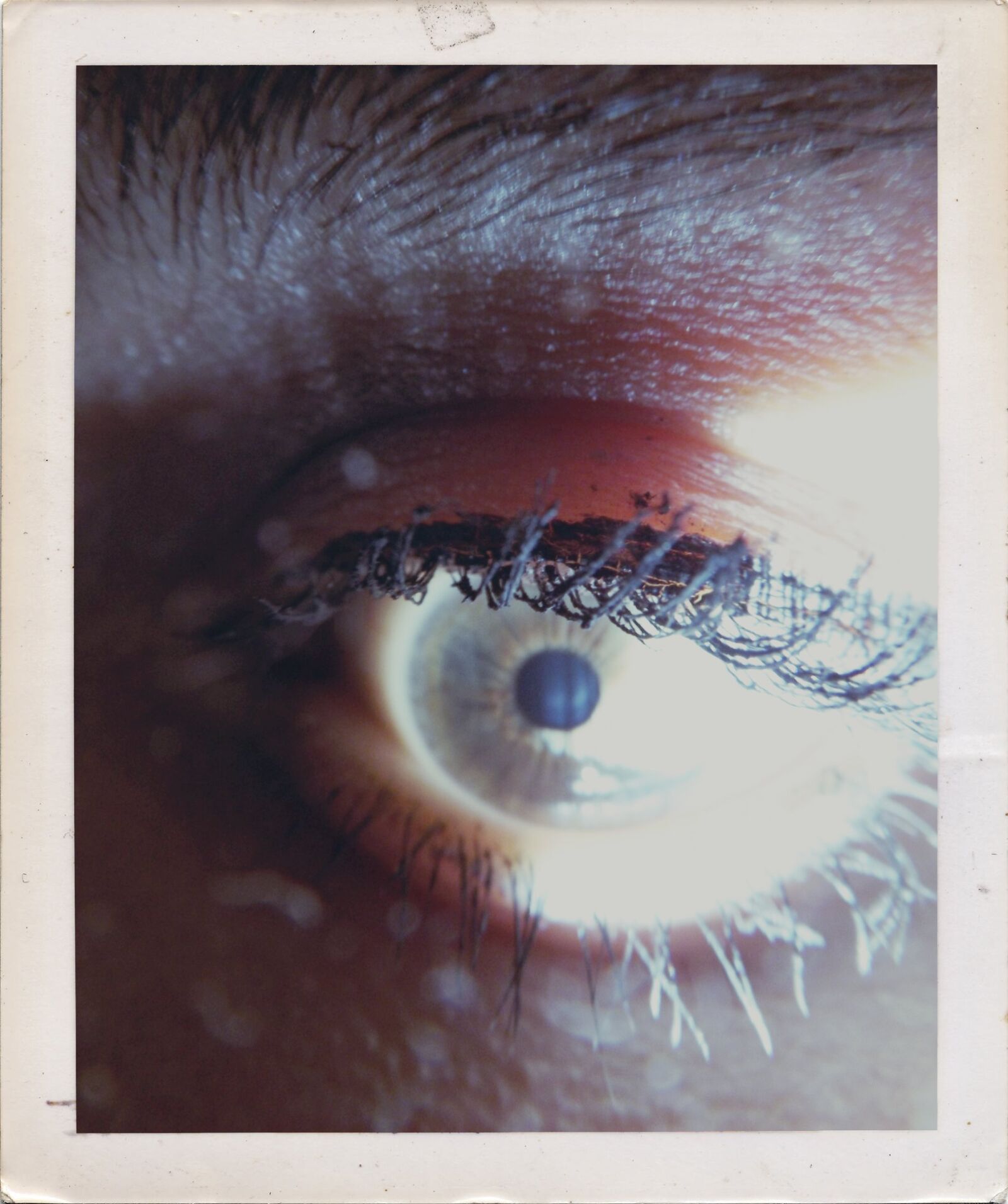Fujifilm FinePix SL300 sample photo. Eye, eyelashes photography