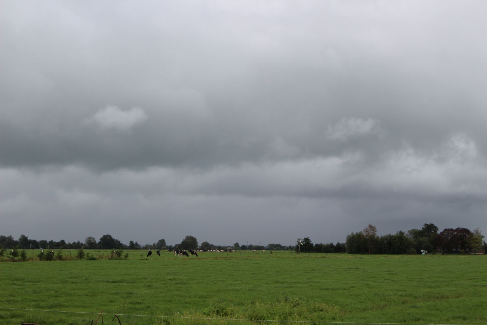 Canon EOS 100D (EOS Rebel SL1 / EOS Kiss X7) sample photo. Pasture, netherlands, landscape photography