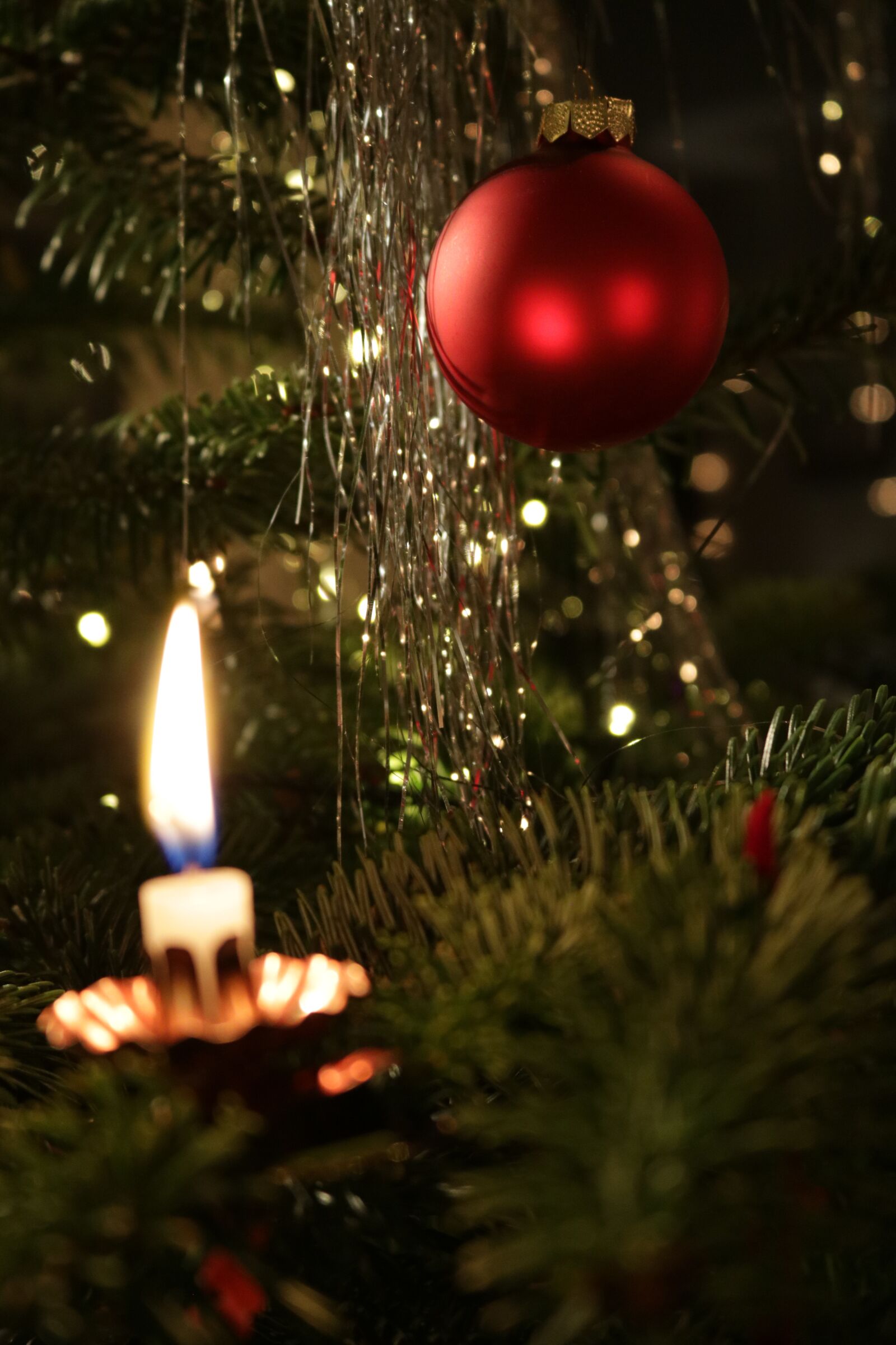 Canon EOS 750D (EOS Rebel T6i / EOS Kiss X8i) sample photo. Christmas, candles, advent photography