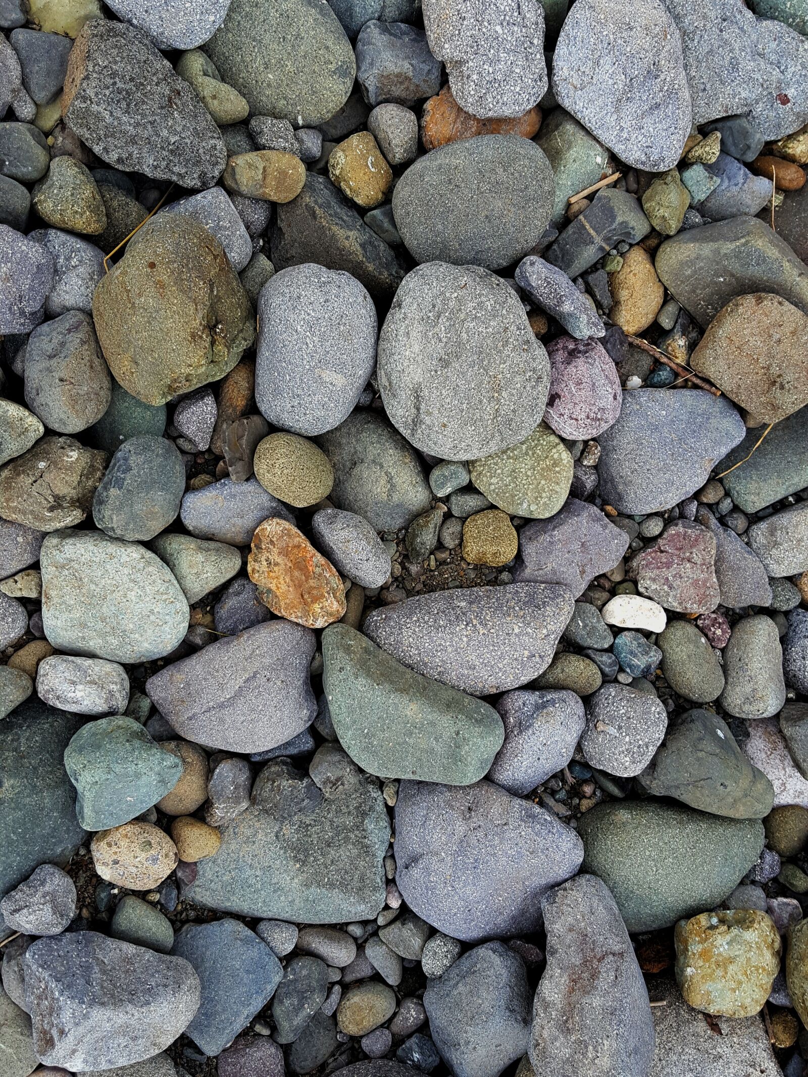 Samsung Galaxy S6 sample photo. Stones, pebbles, nature photography