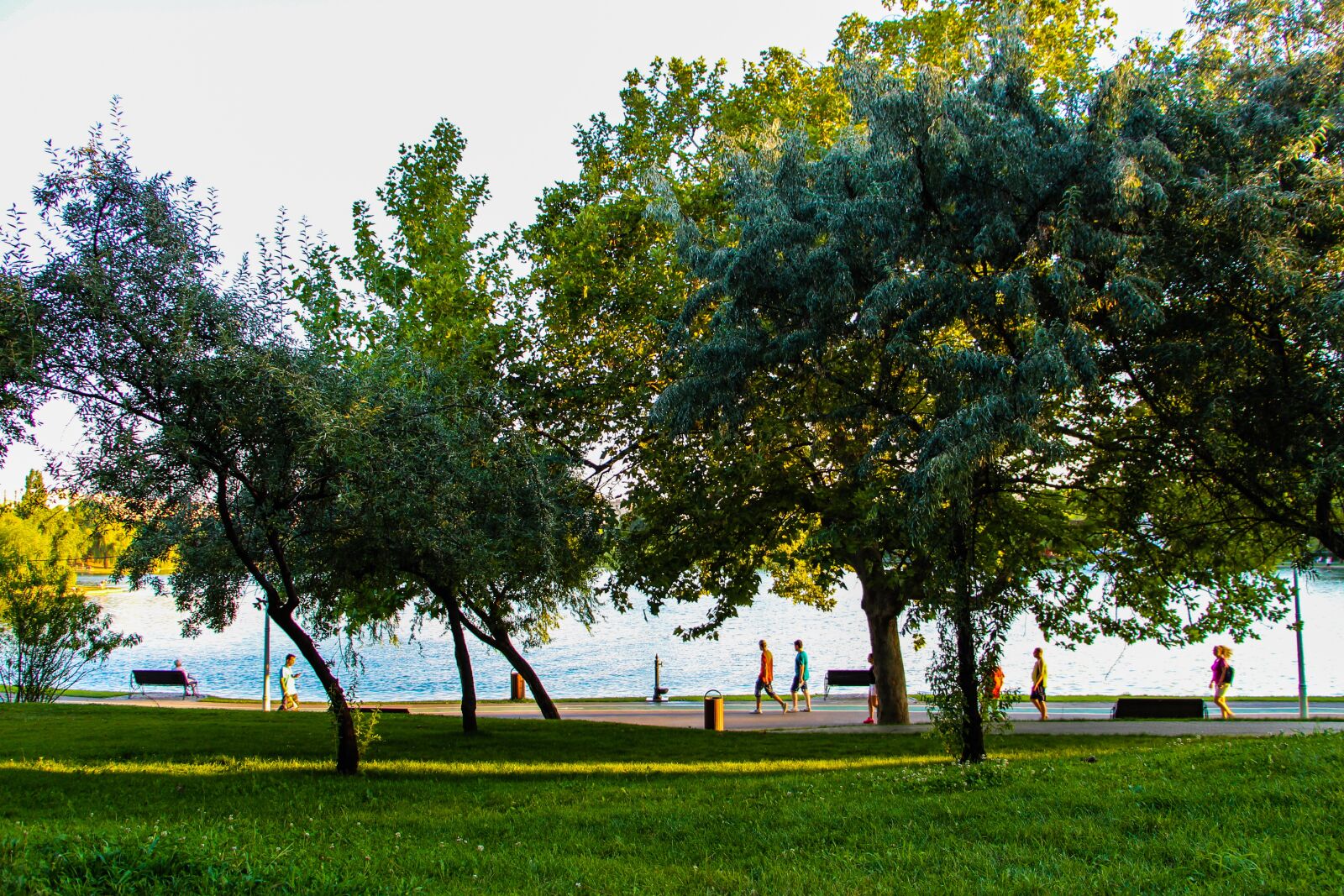 Canon EOS 650D (EOS Rebel T4i / EOS Kiss X6i) sample photo. Landscape, walk, nature photography