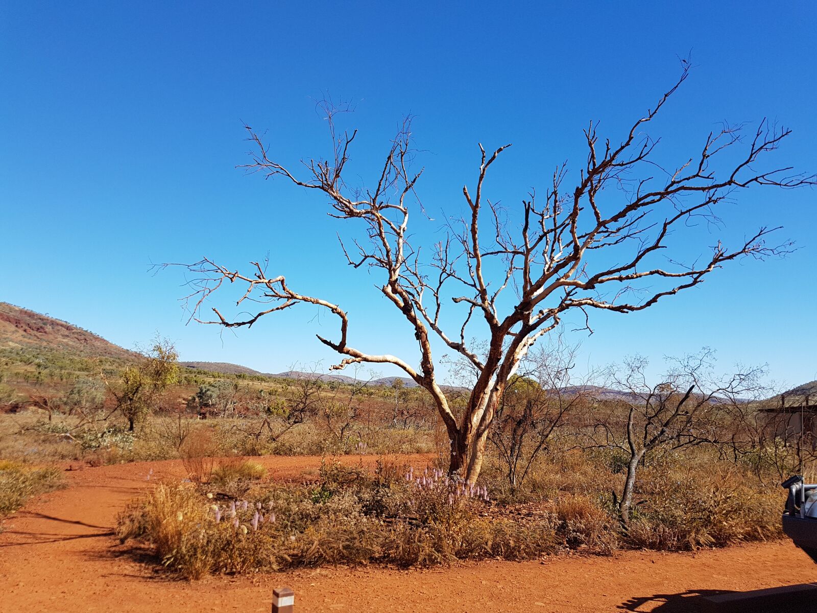 Samsung Galaxy S7 sample photo. Pilbara, western australia, australia photography