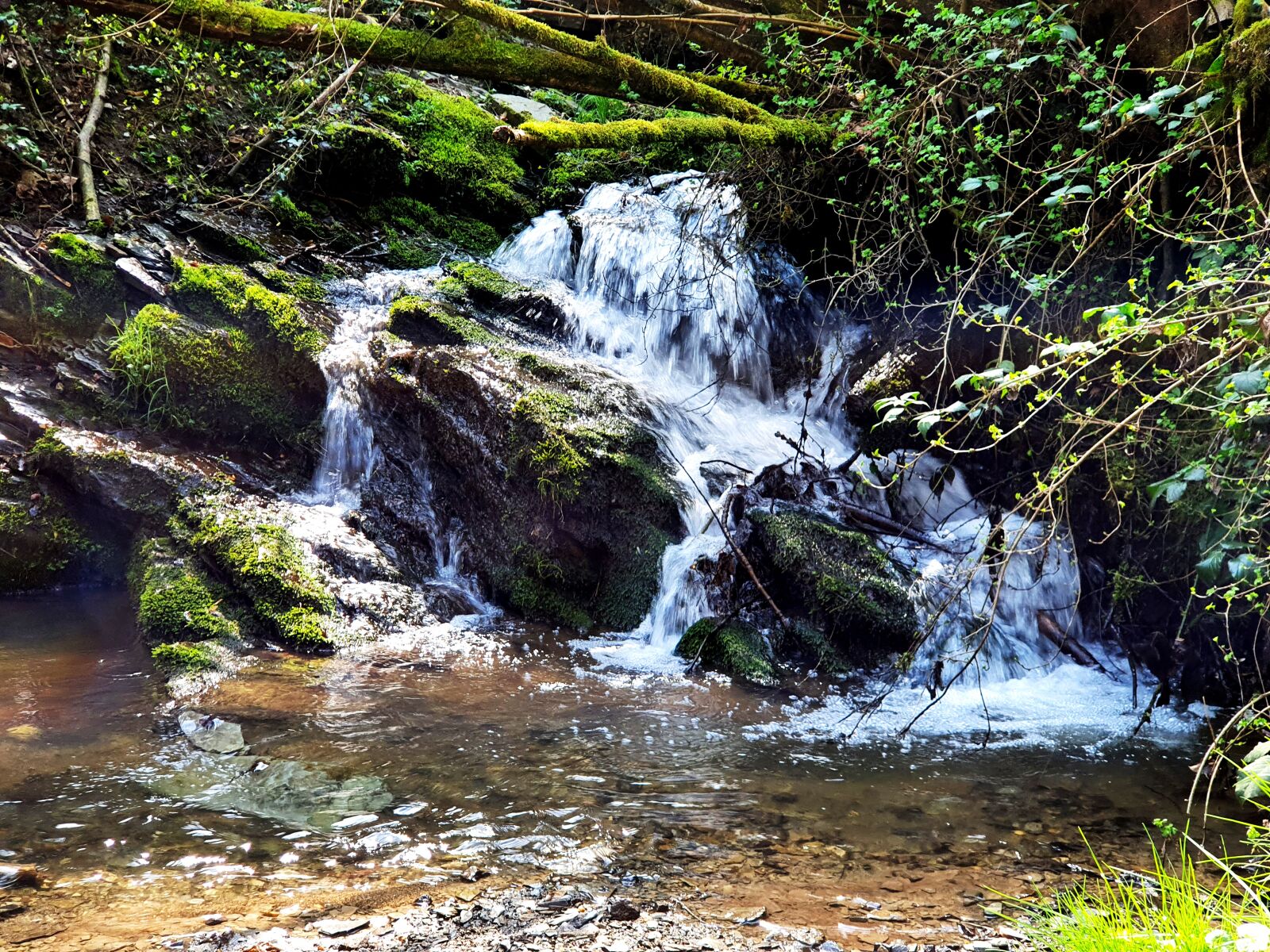 Samsung Galaxy S10 sample photo. Waterfall, water, nature photography