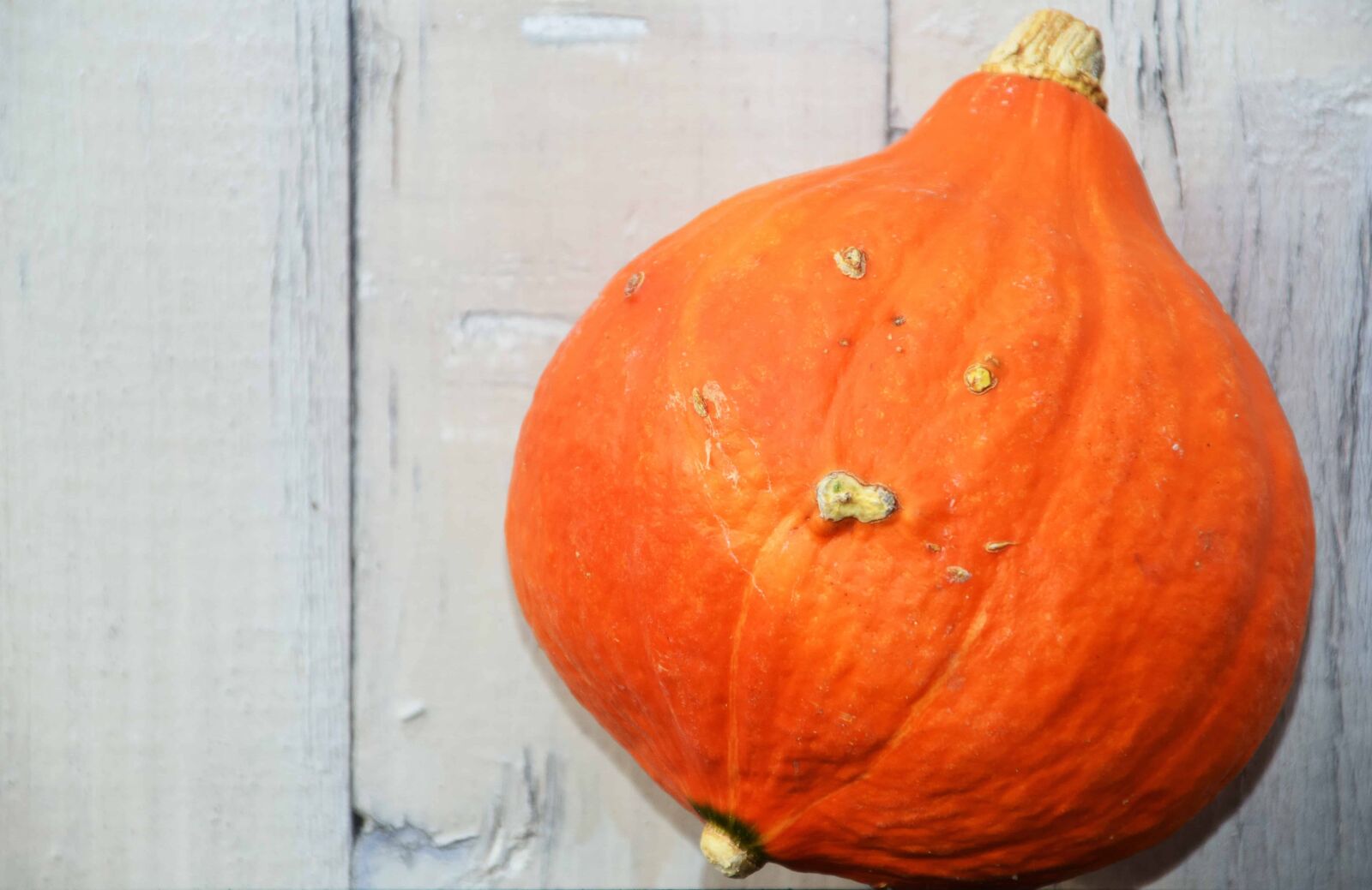 Nikon D3300 sample photo. Agriculture, pumpkin, vegetables, food photography