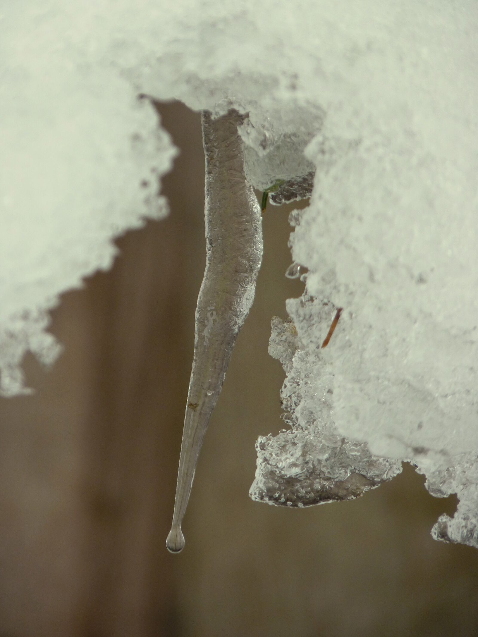 Panasonic Lumix DMC-FZ35 (Lumix DMC-FZ38) sample photo. Icicle, winter, cold photography