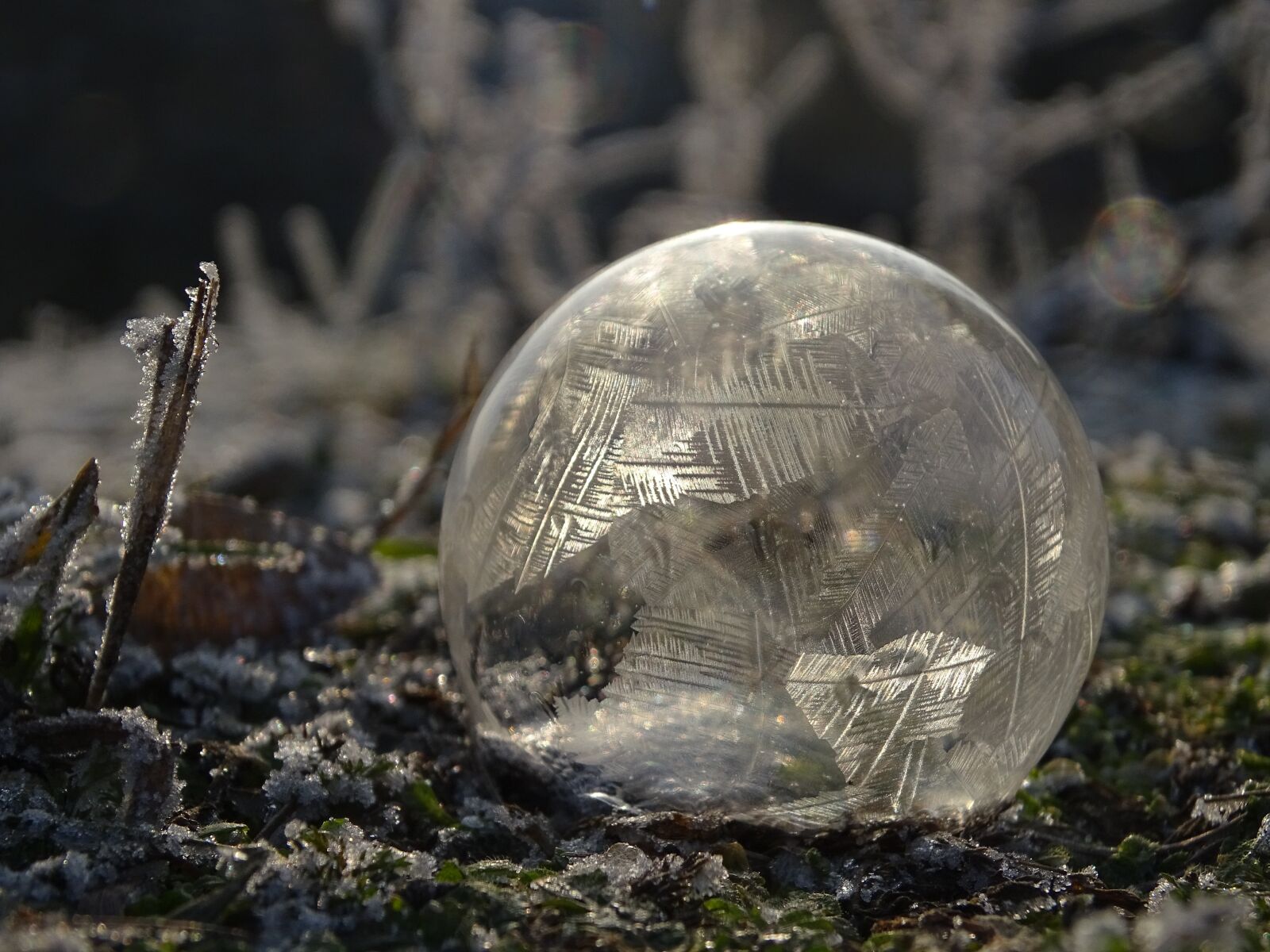 Sony Cyber-shot DSC-HX400V sample photo. Bubble, winter, frost photography