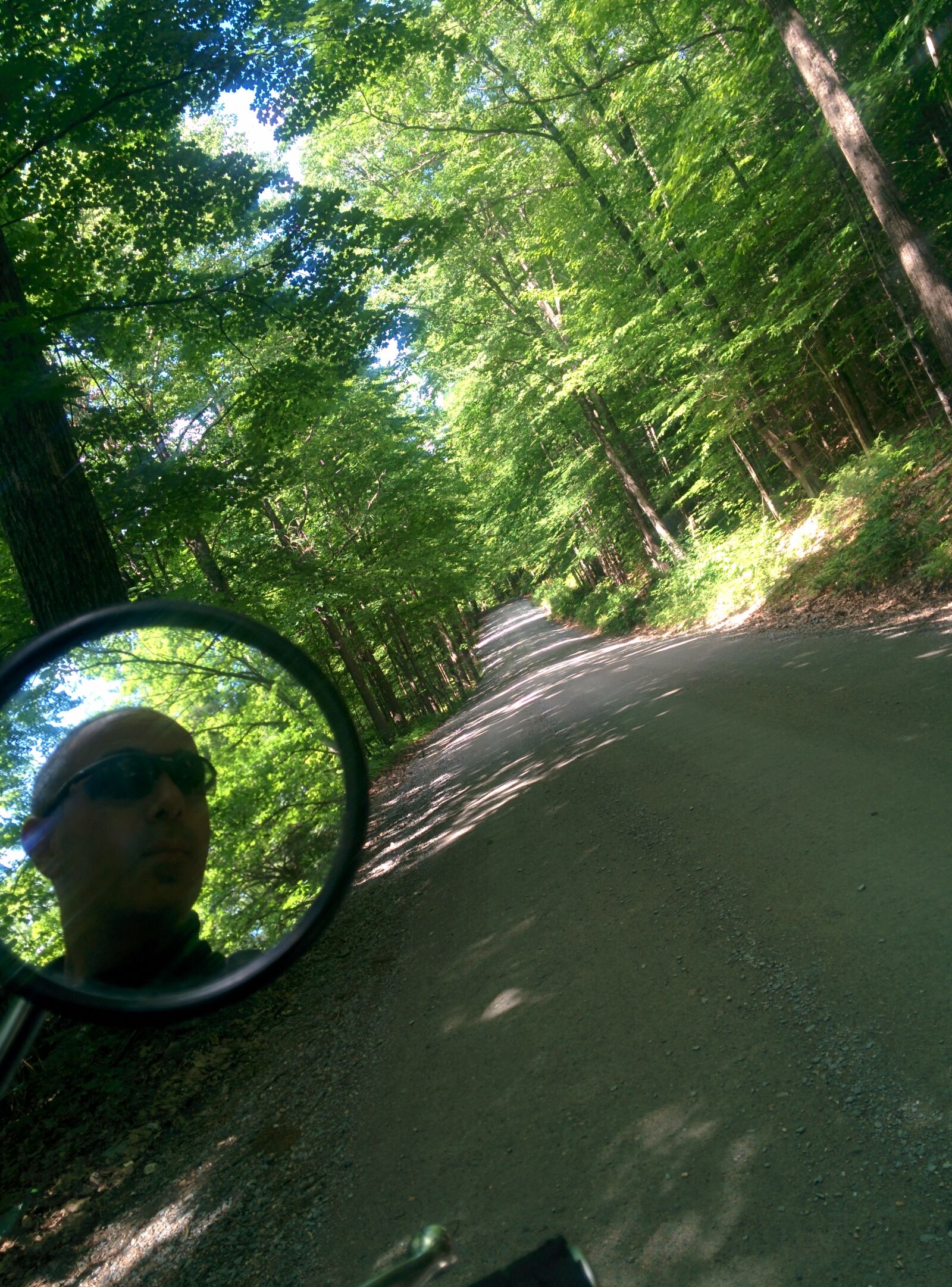 LG Nexus 5 sample photo. Forest, motorcycle, trip photography