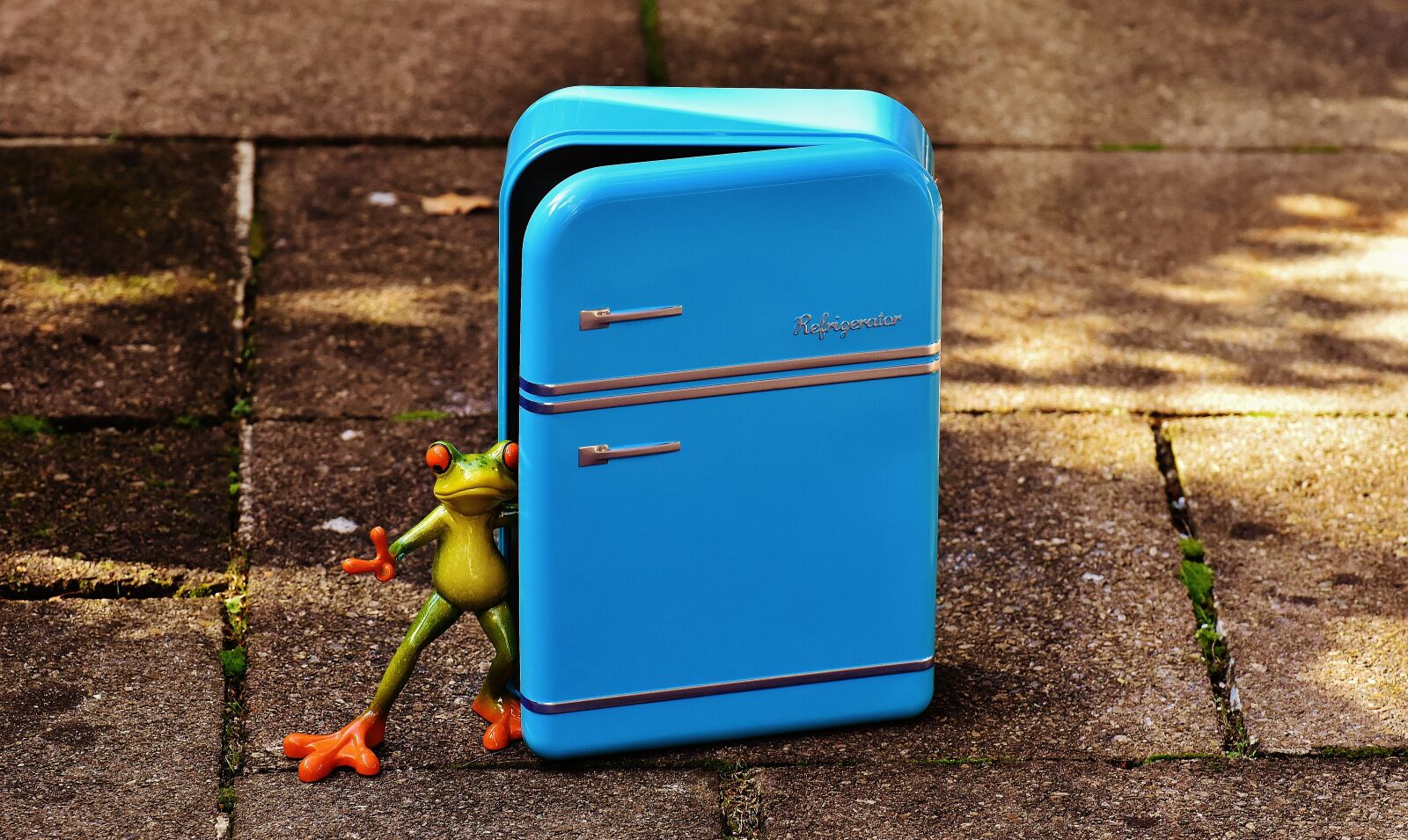 Nikon D7200 sample photo. Frog, refrigerator, blue photography