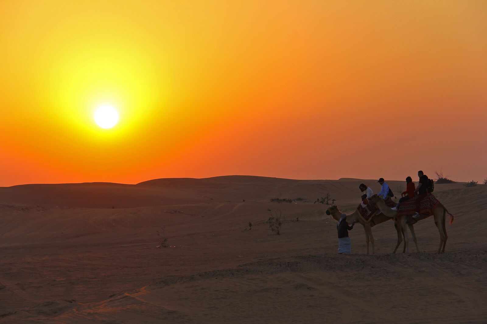 Canon EF-S 18-200mm F3.5-5.6 IS sample photo. Sunset, dawn, desert photography