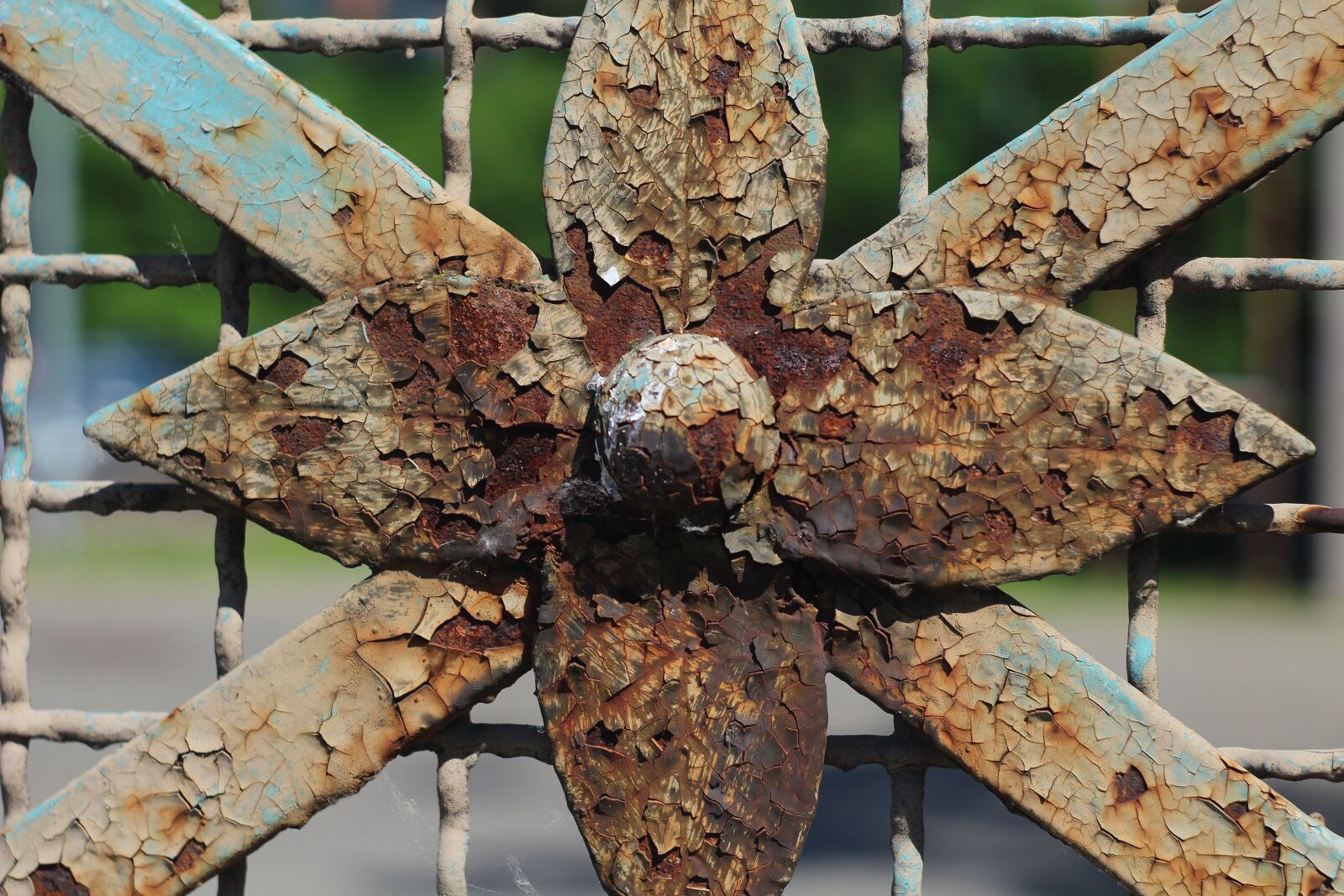 Canon EOS 1200D (EOS Rebel T5 / EOS Kiss X70 / EOS Hi) sample photo. Fencing, rust, the fence photography