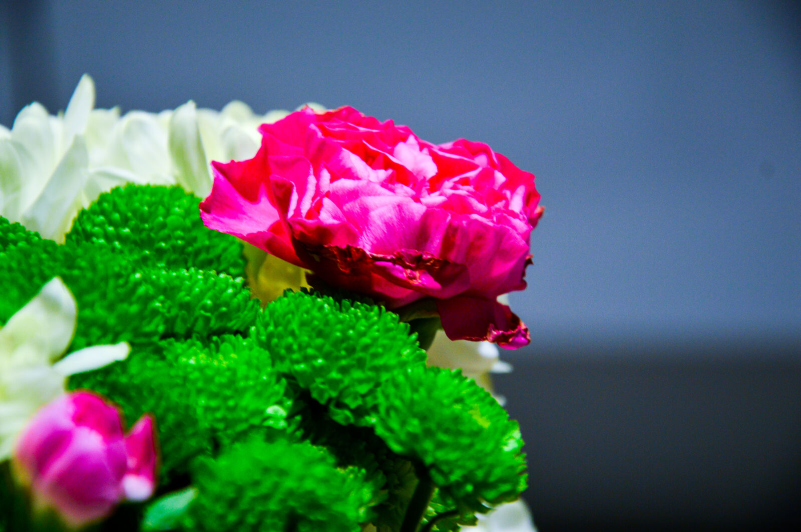 Nikon D3200 sample photo. Night photography