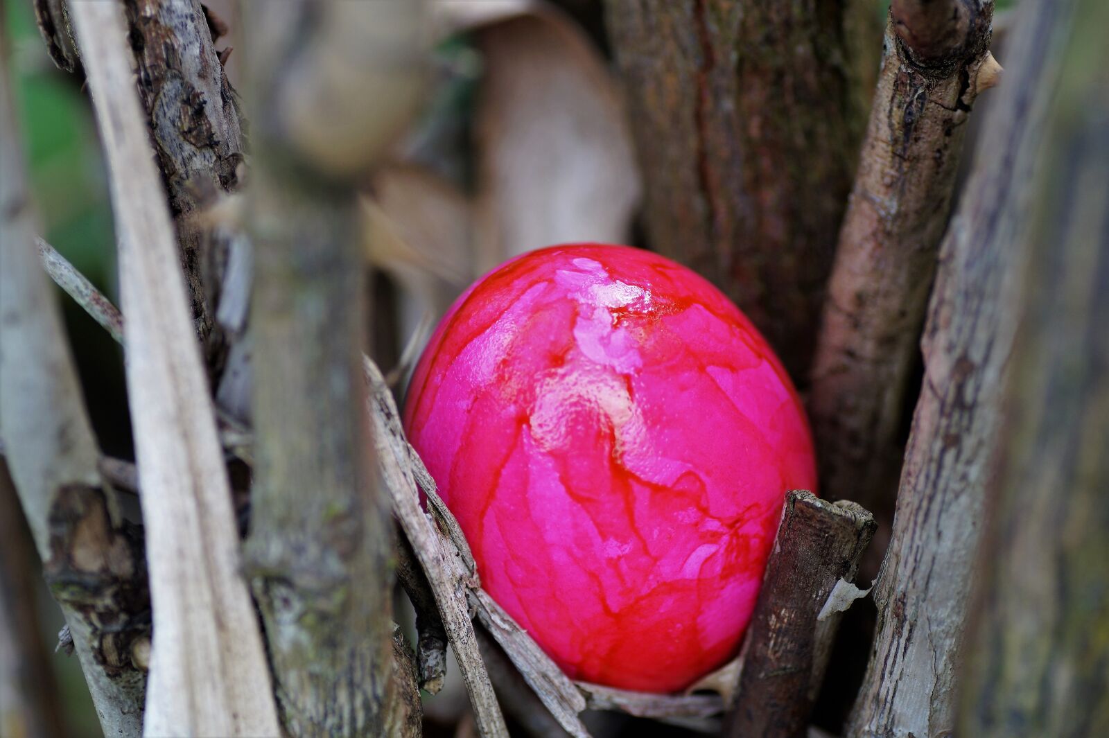 Sony SLT-A58 sample photo. Egg, easter eggs, easter photography