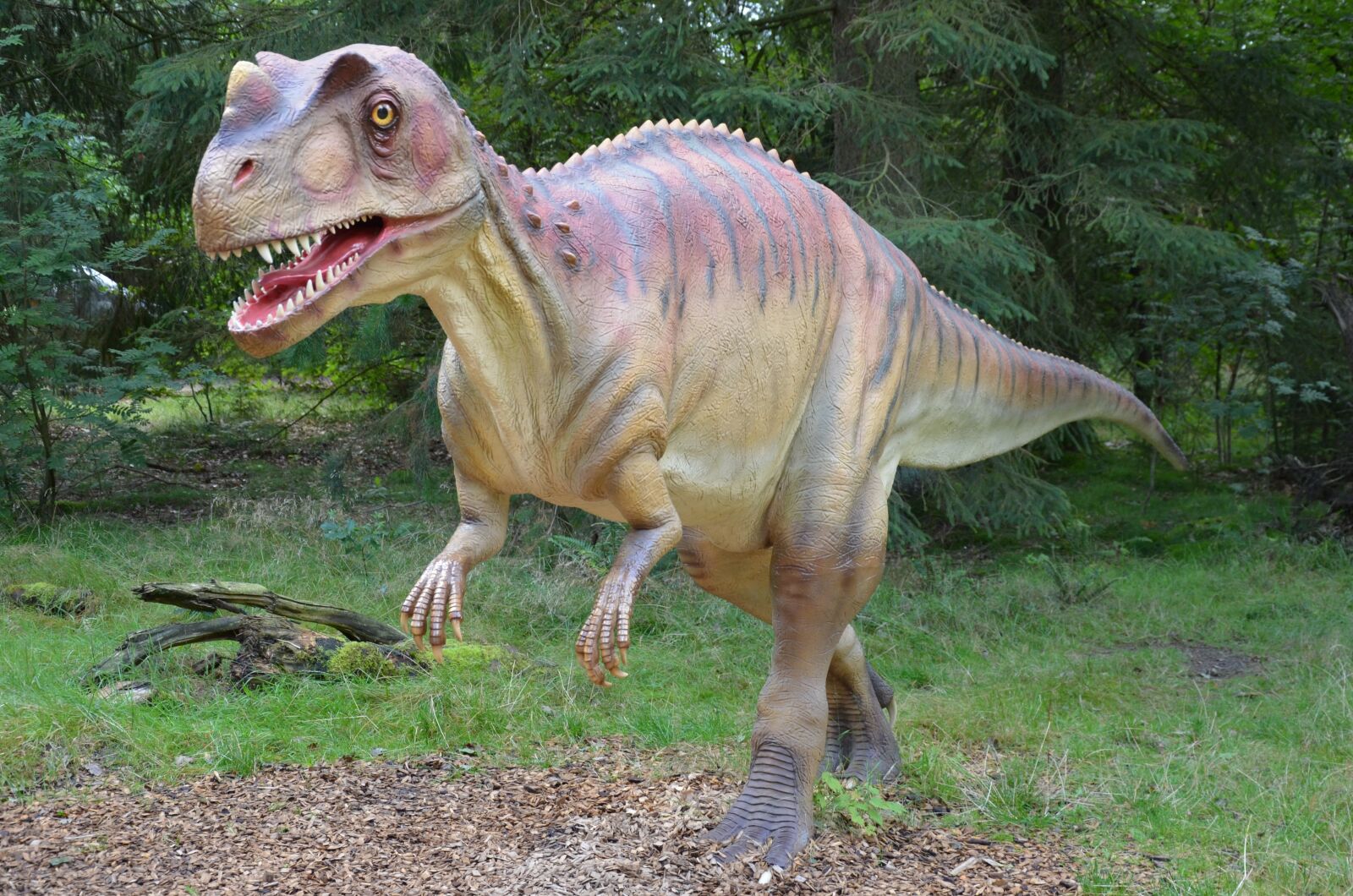 Nikon D5100 sample photo. Dinosaur, prehistoric times, lizards photography