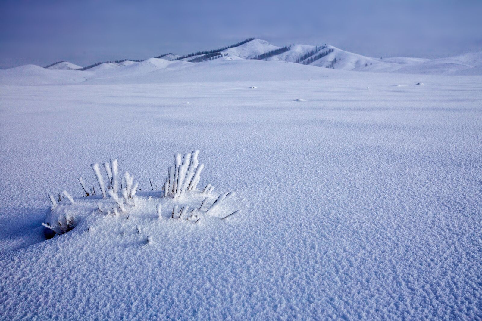 Canon EOS 5D Mark II sample photo. Snowfield, frozen, winter photography